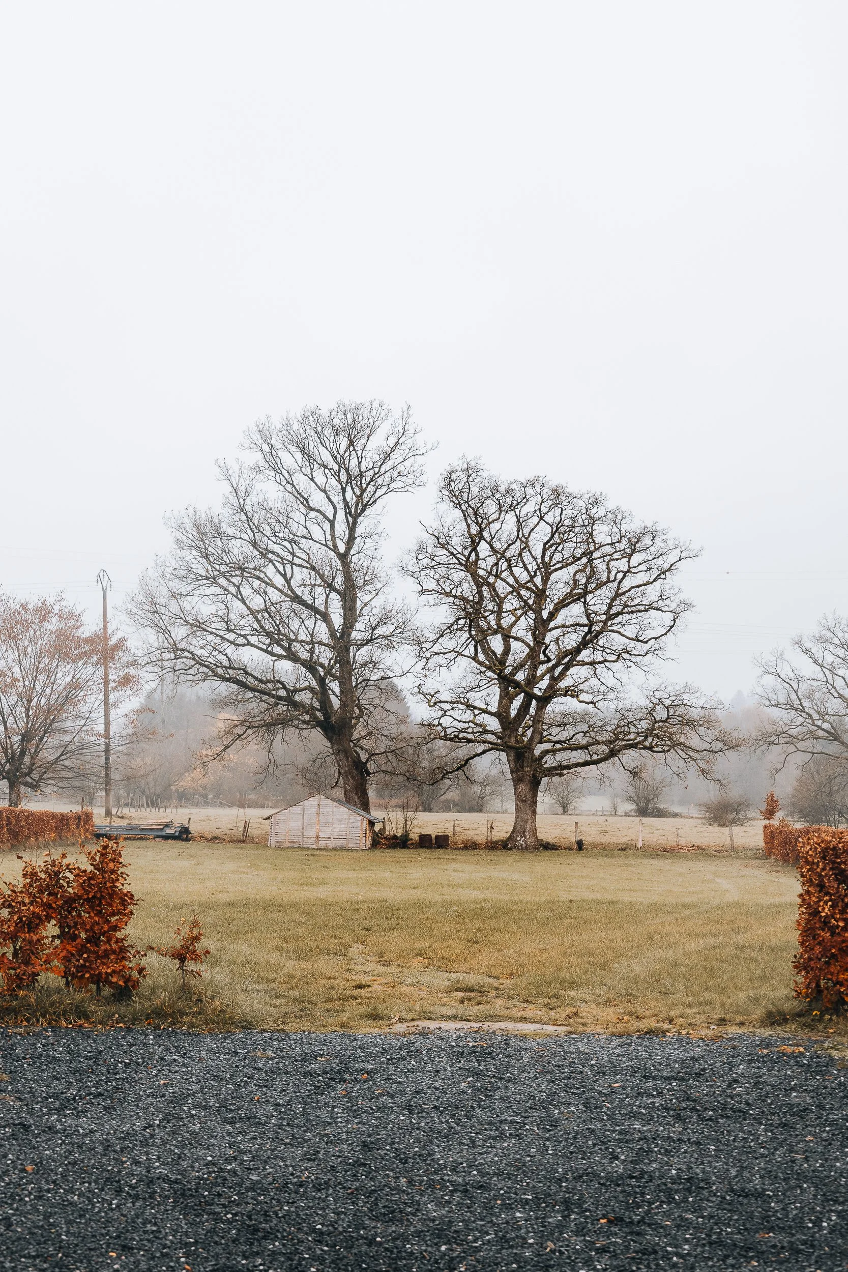 Vielsalm, Belgium / 2025