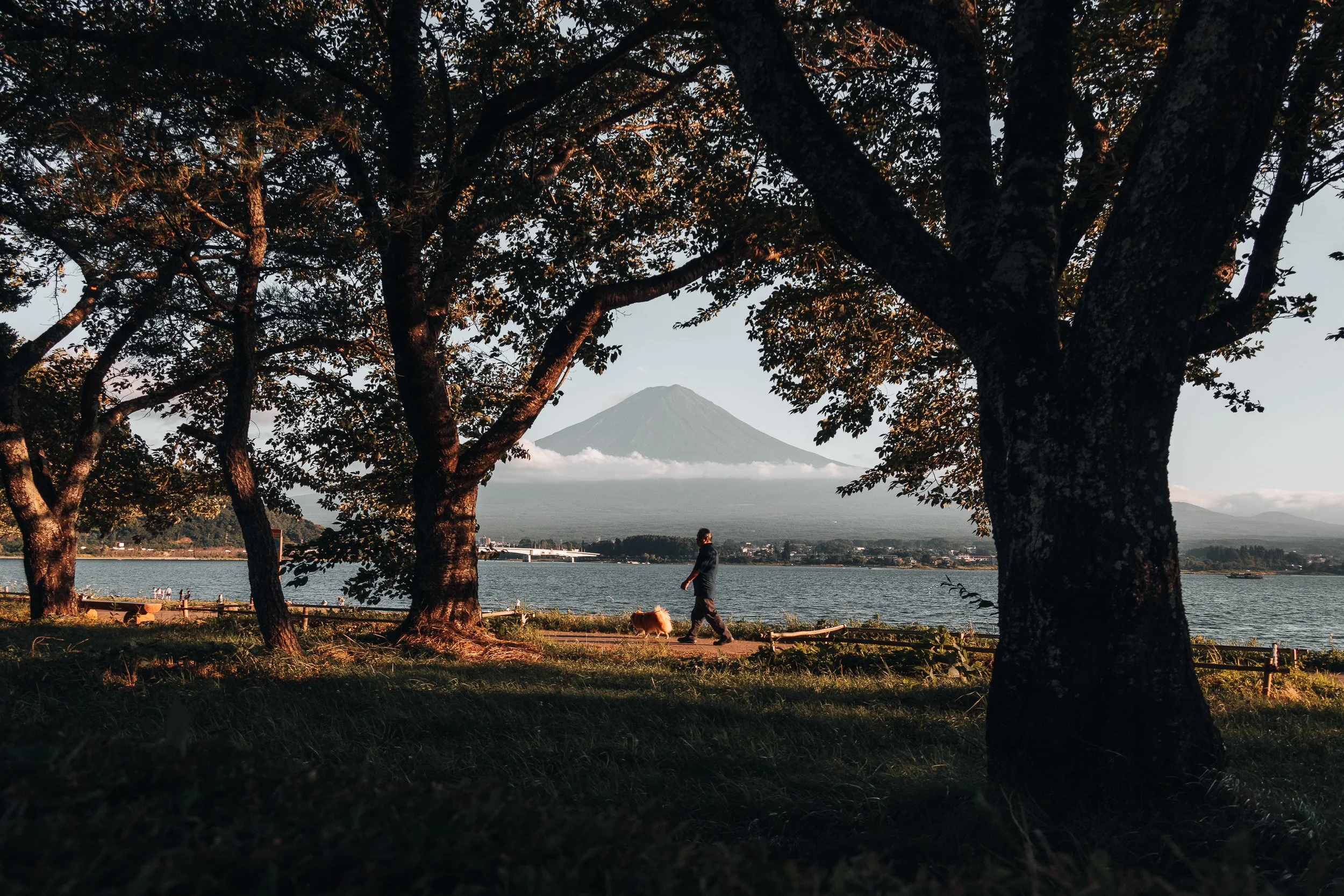 Fuji-San - Kawaguchi, Japan / 2025
