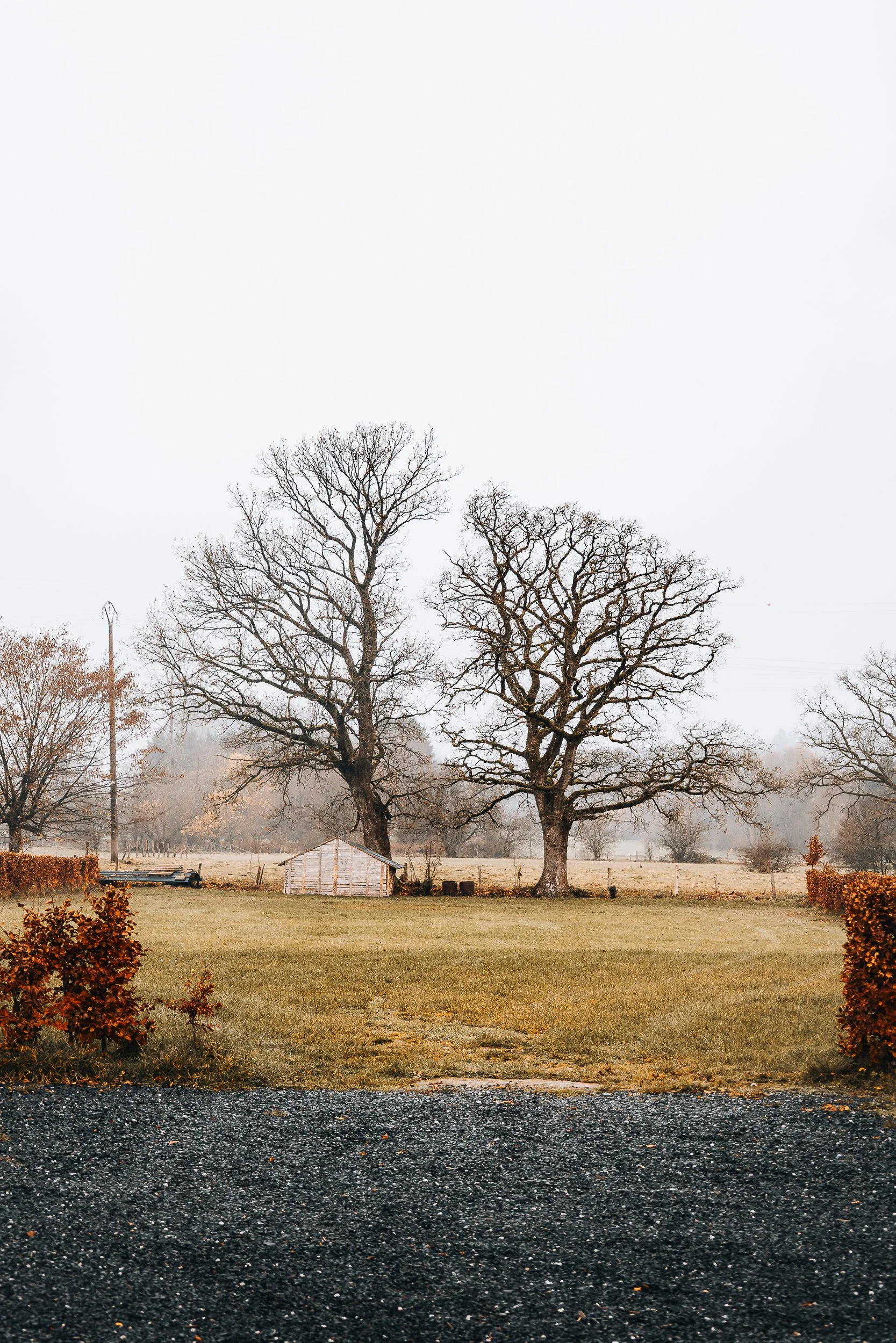 Vielsalm, Belgium / 2025