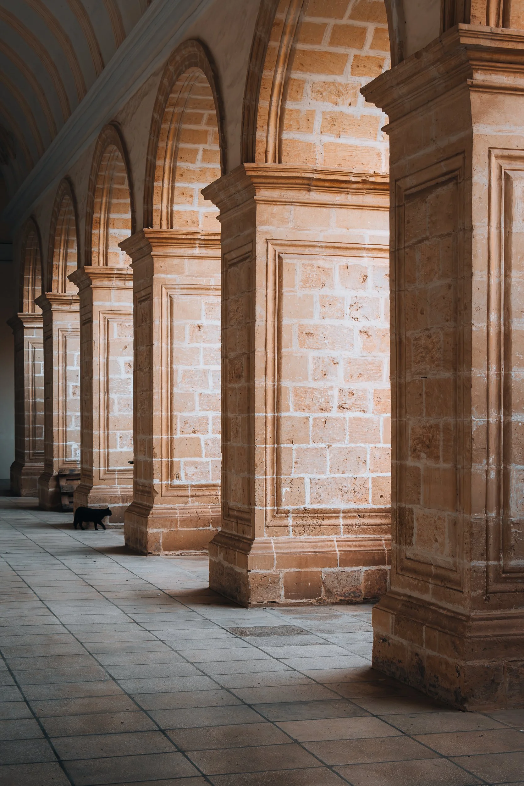 Le chat noir - 2024 / St. Dominics Priory, Rabat /  17th century - Limestone /
part of 'Stone Matters - In Full Spectrum' 2026