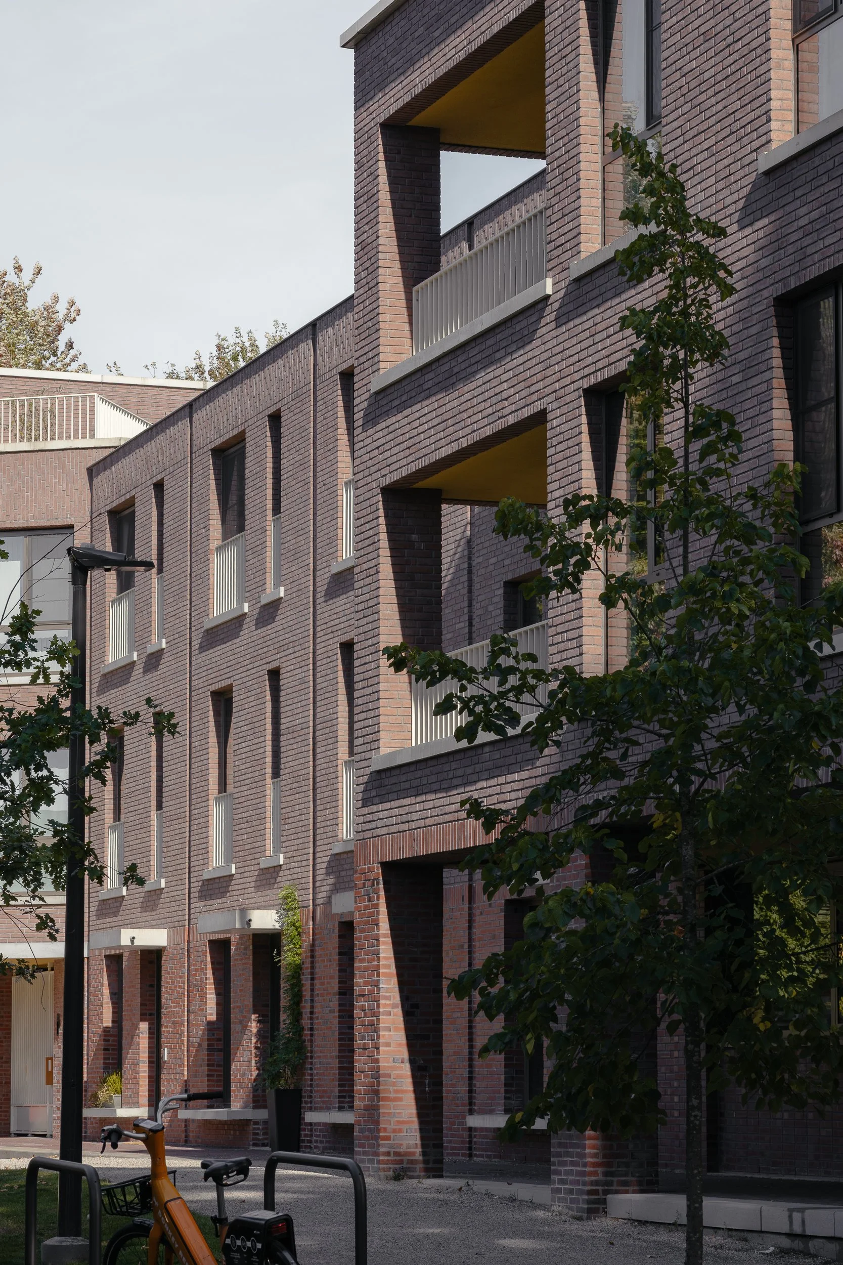Window in a small city.