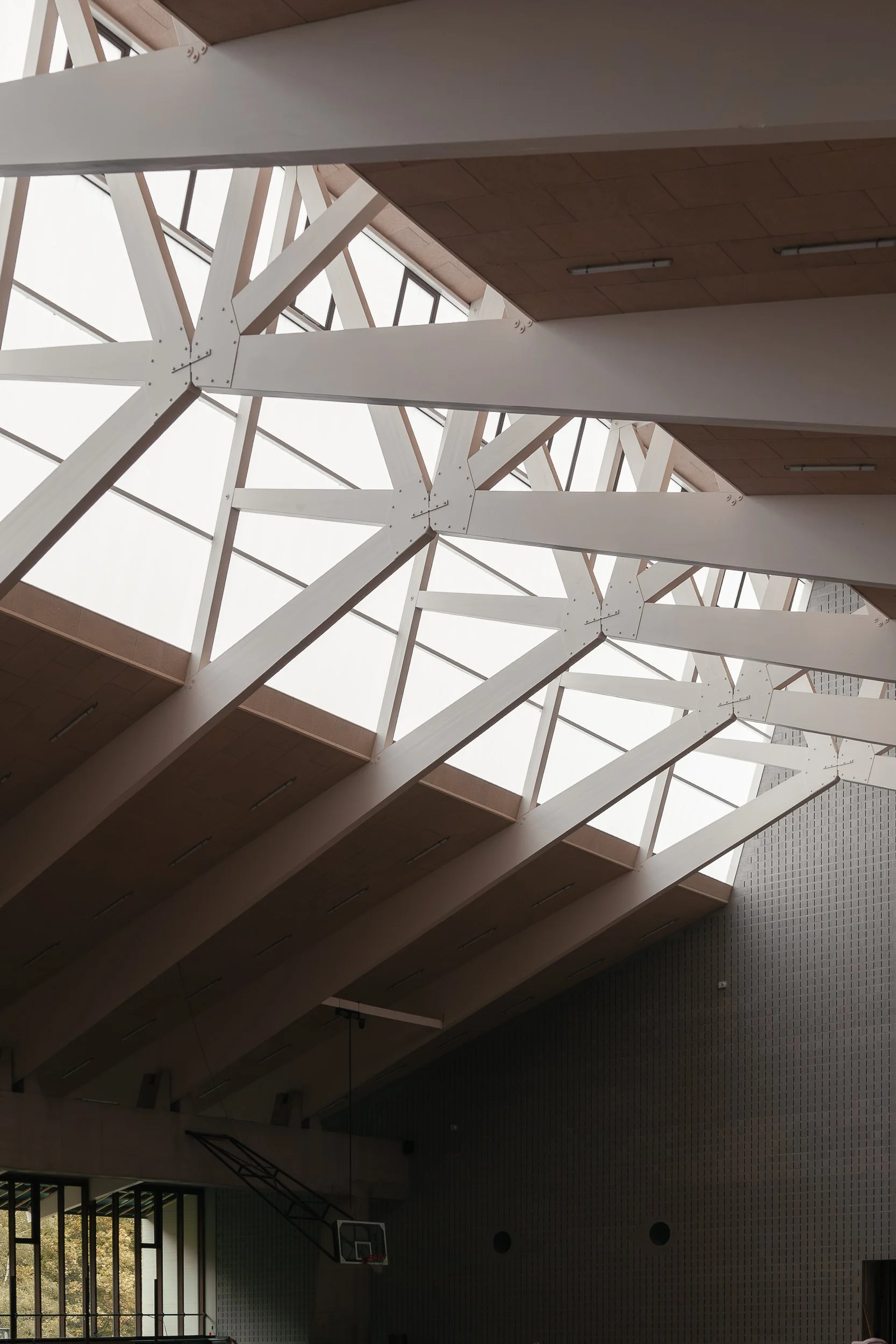 C. Vandenhove - Institut d’Éducation physique / 1971