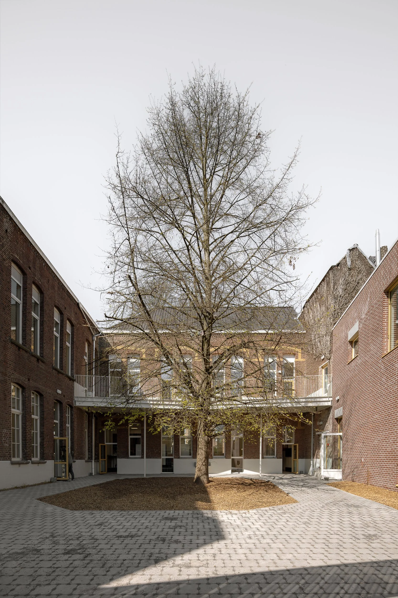 Molenbeek - Klimpaal