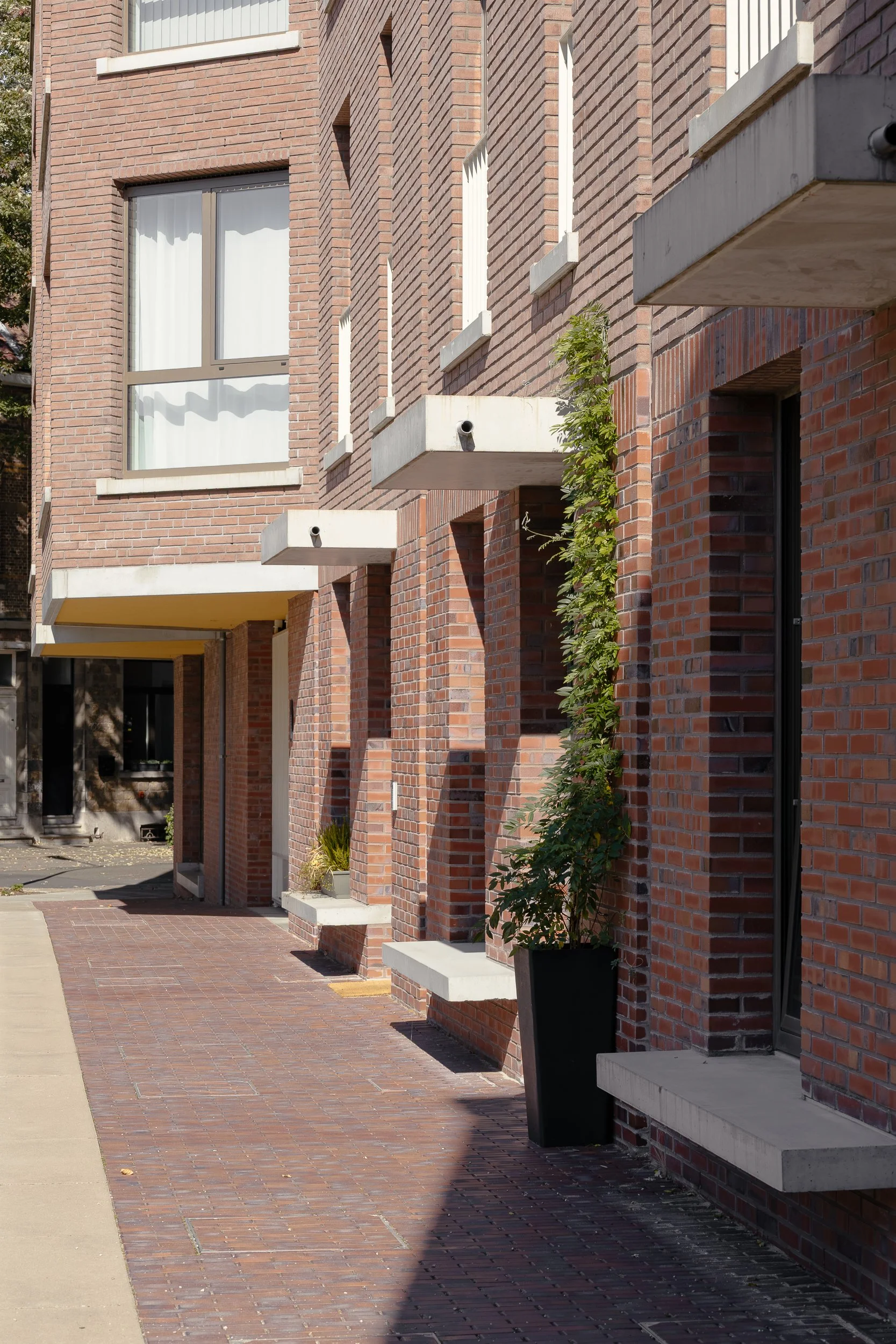 The art of entering.