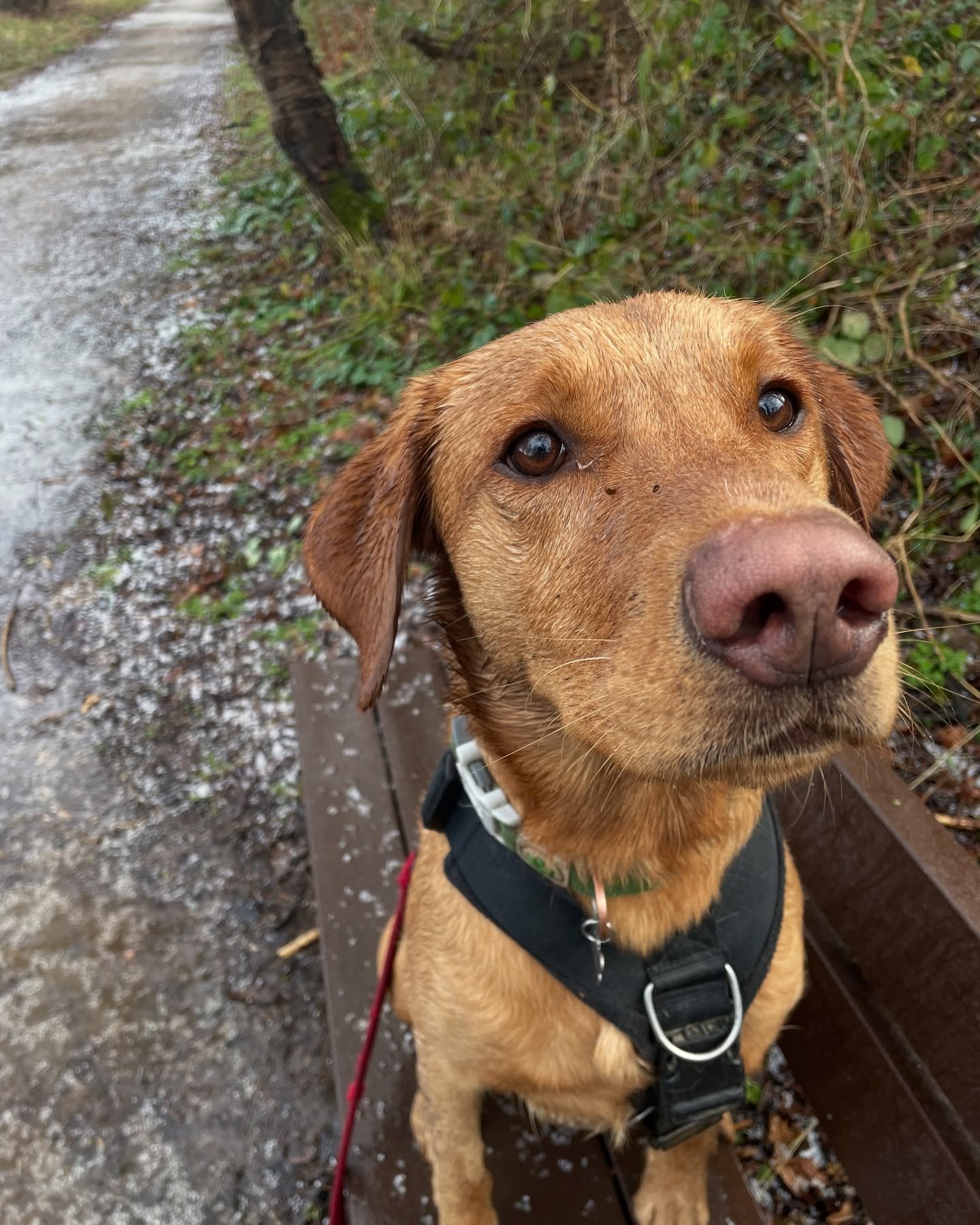 The sun comes out when this boy&rsquo;s around. ☀️