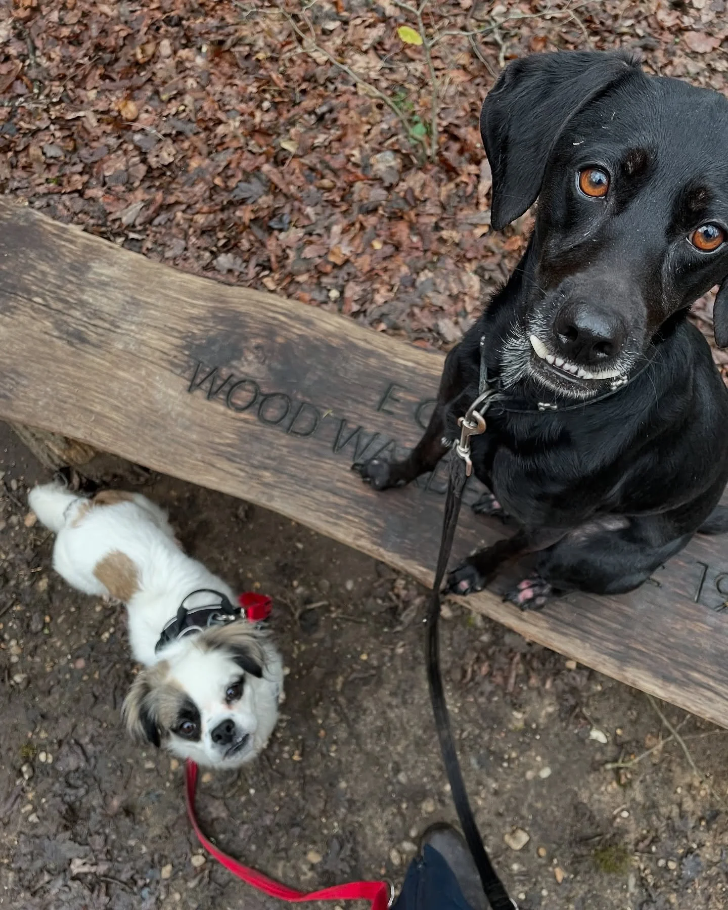 While Mum and Dad are in the sun, we&rsquo;re having lots of muddy fun 😎