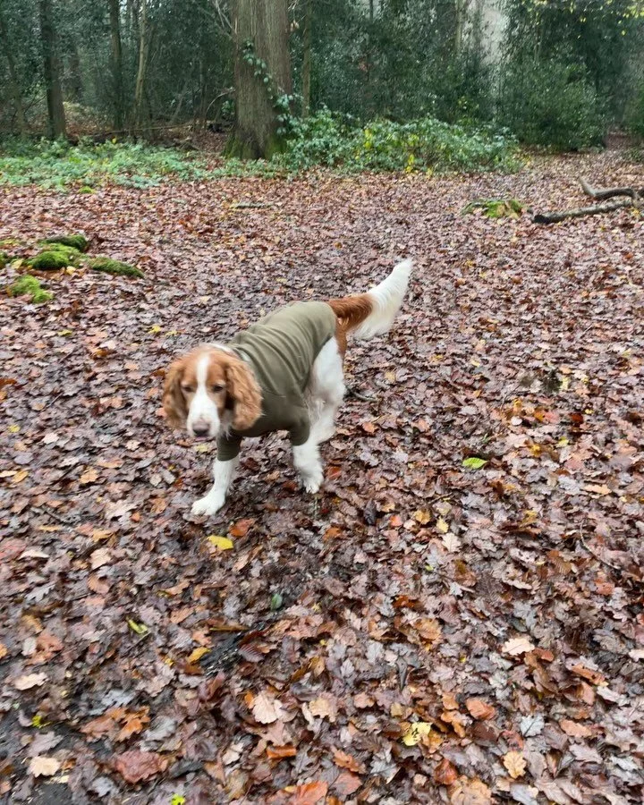 Woody you look amazing, don&rsquo;t shake it off 🫨