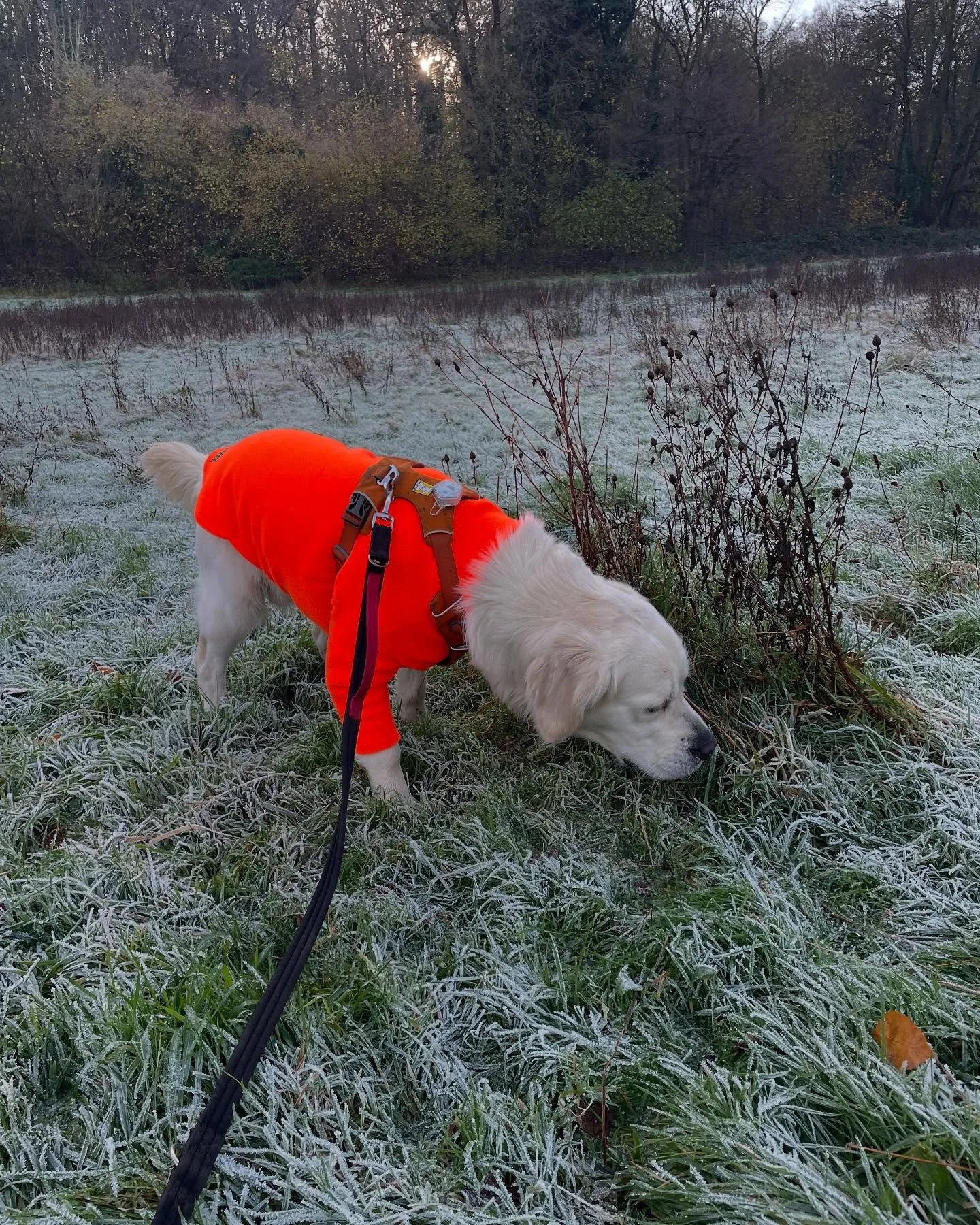 It&rsquo;s beginning to FEEL like Christmas 🥶 🎄