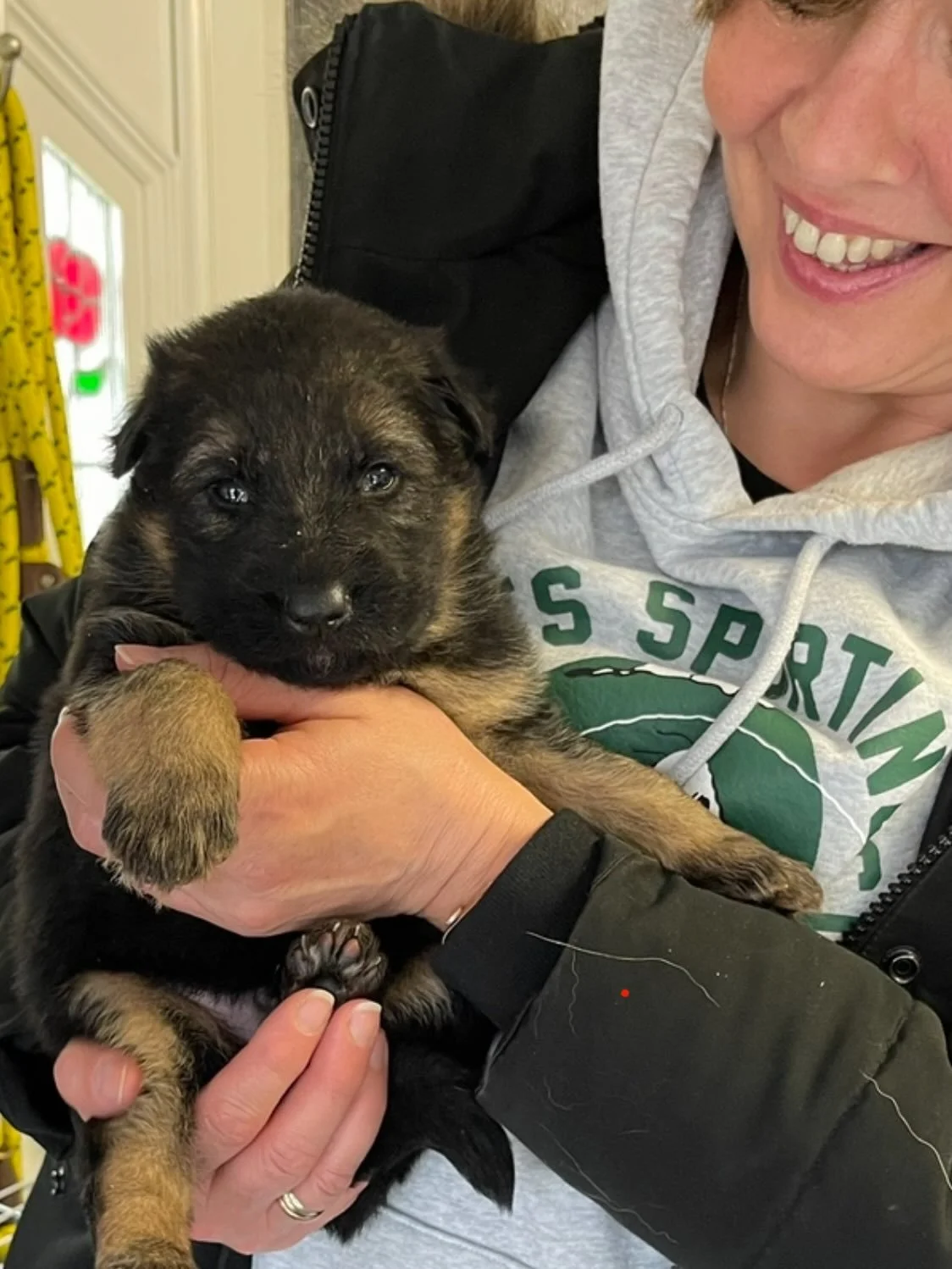 Love seeing this beautiful boy grow up 🐾