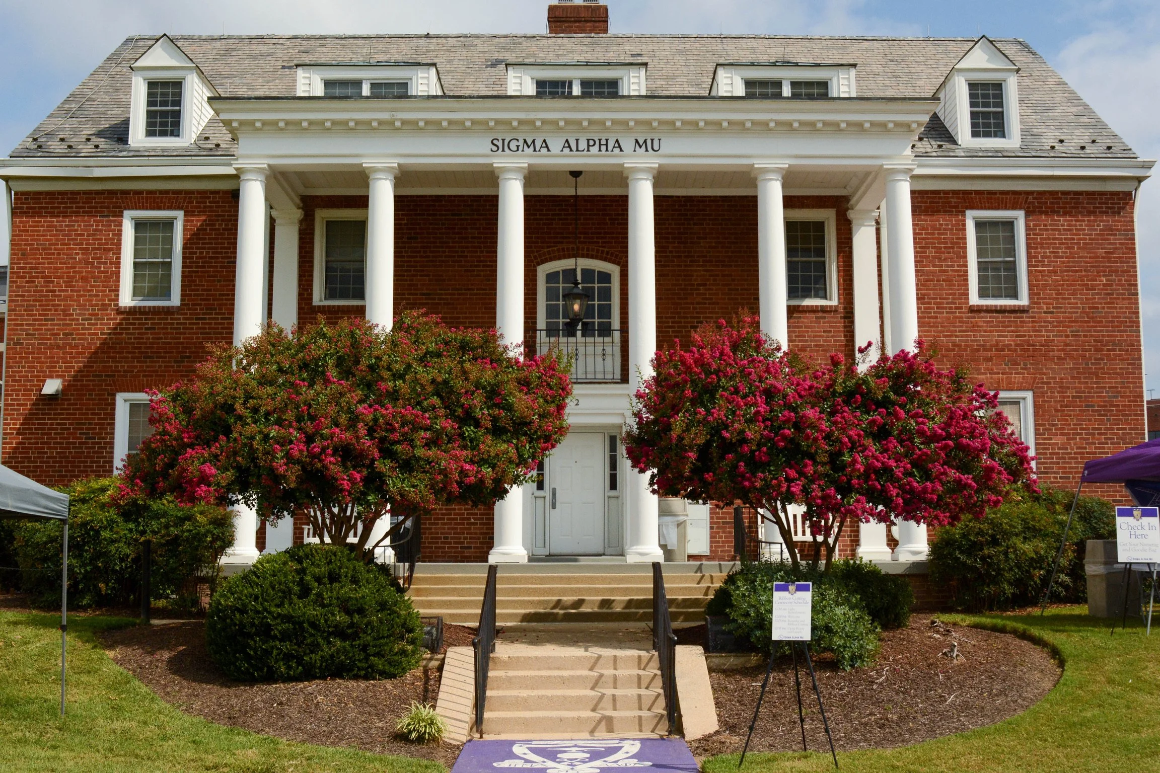 54732423348_d15c2bb749_o (1).jpg