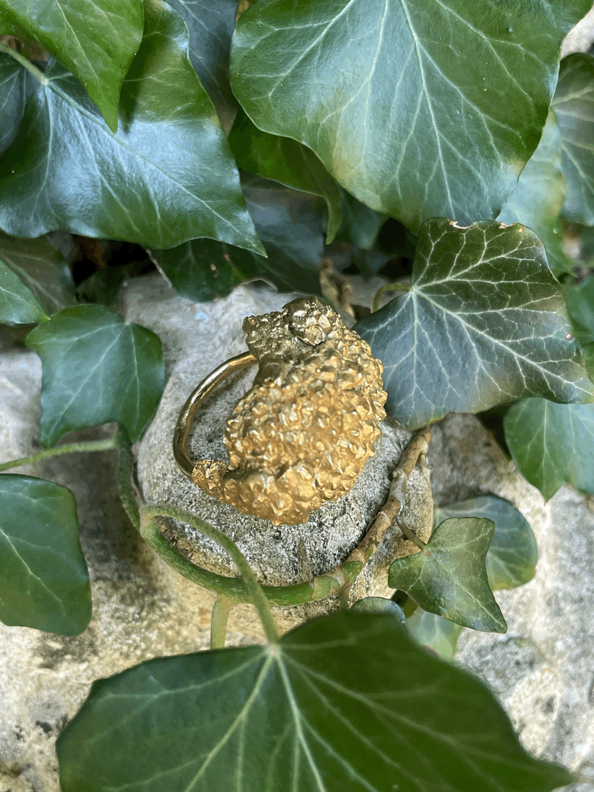 tempImageuSA5FM.gif