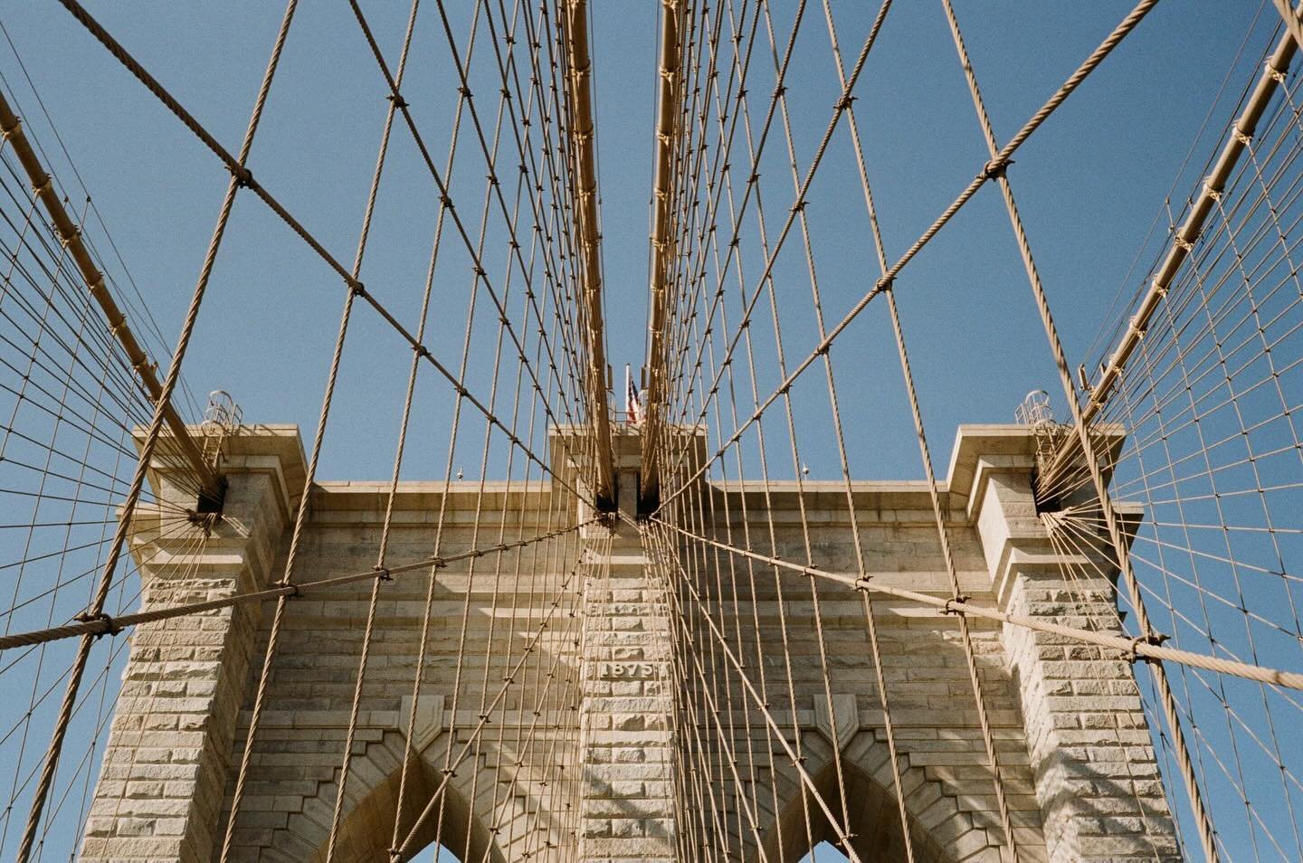 📸: Canonet QL17 
🎞️: Kodak Gold

#canon #cannonetql17 #kodak #kodakgold #kodakgold200