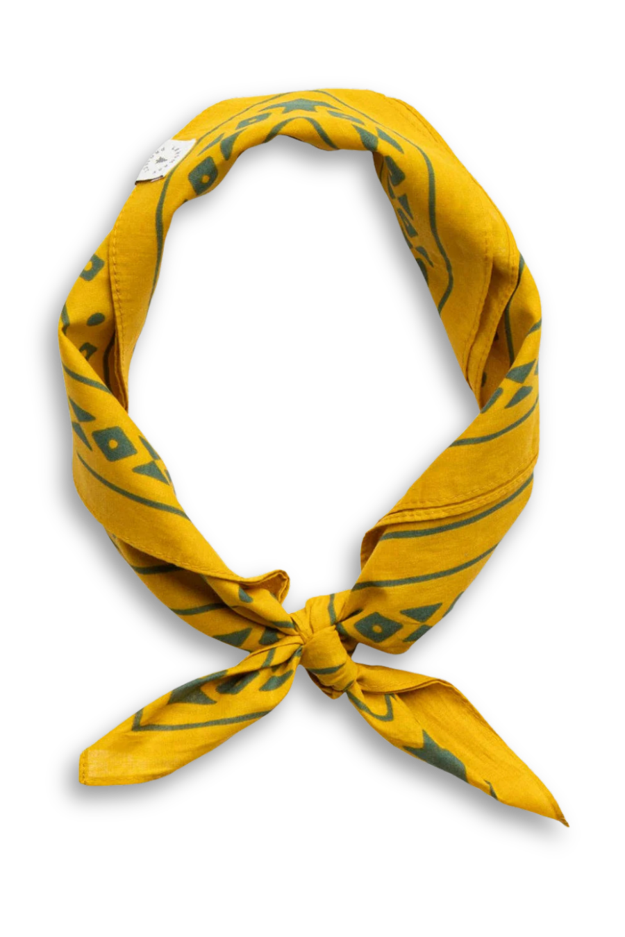 Smokey Bear Bandana - 2.png