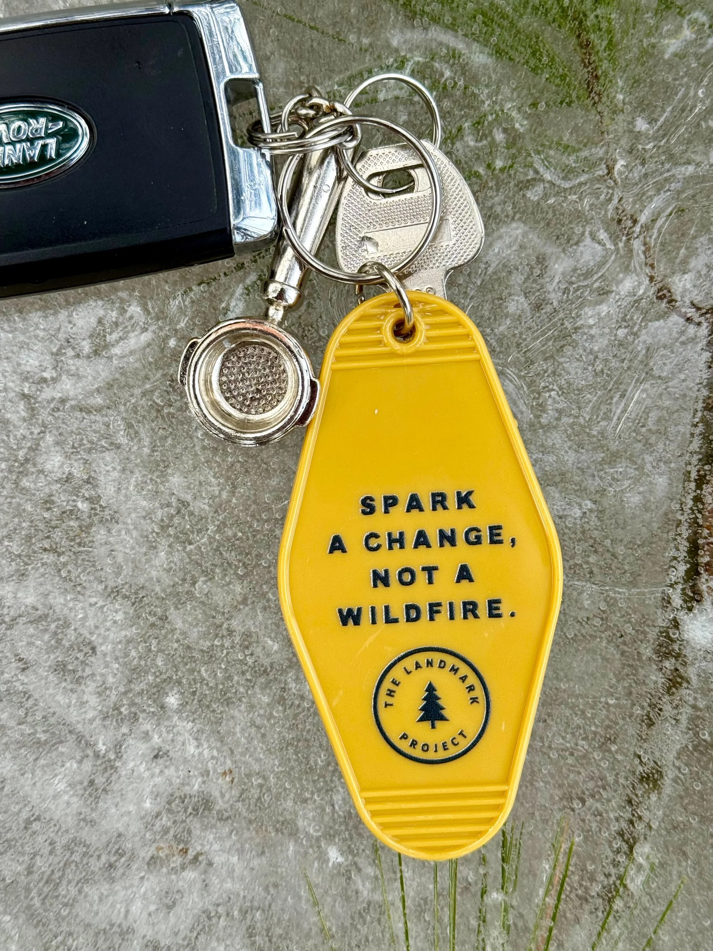 Smokey Bear Keychain 4.jpg