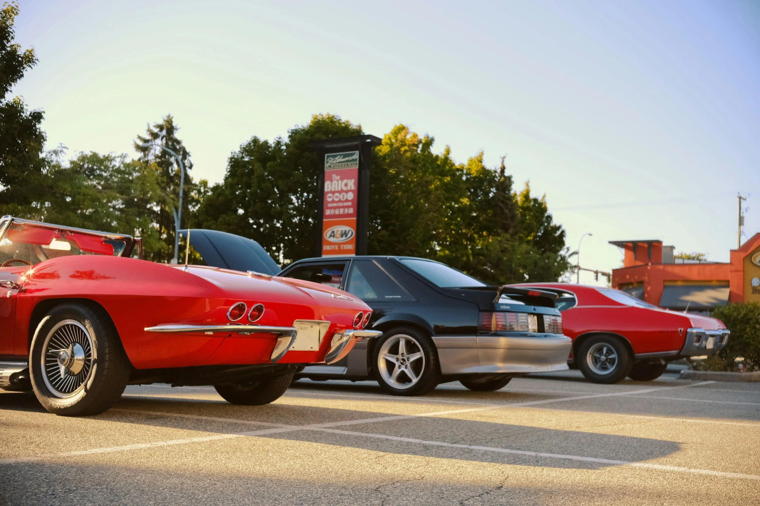 Muscle Cars at the Museum