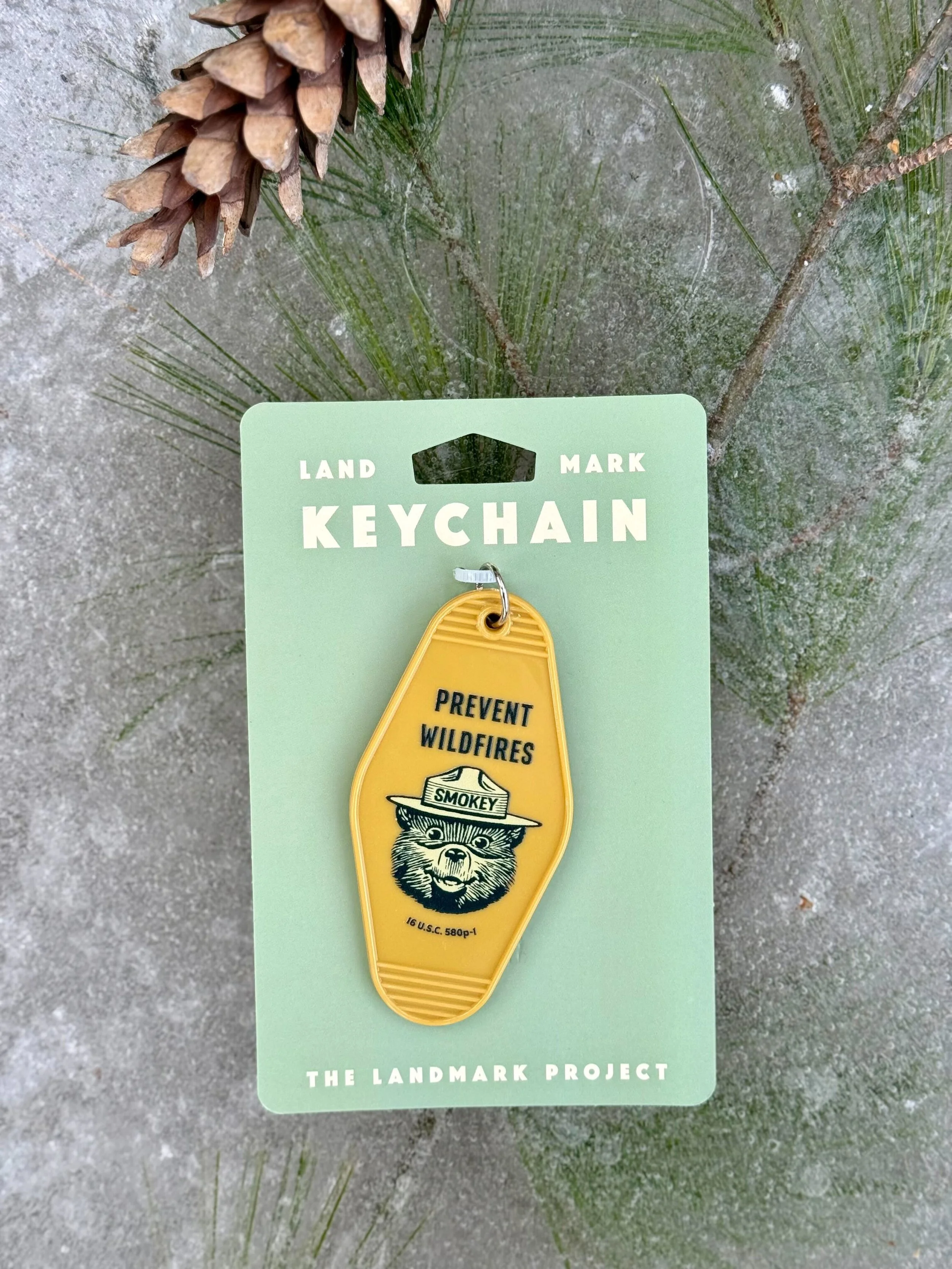 Smokey Bear Keychain 3.jpg
