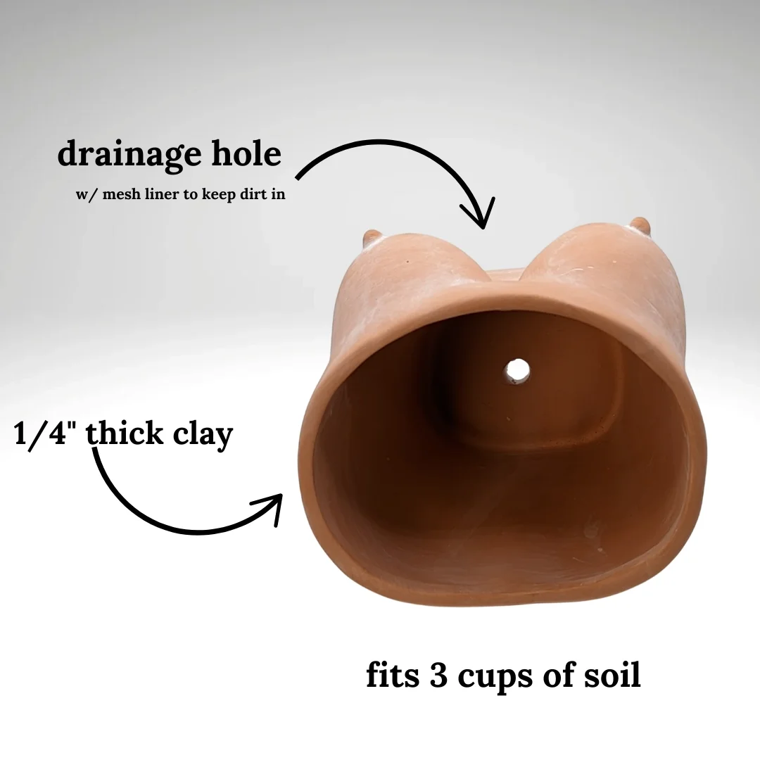 Booby Planter 4.webp
