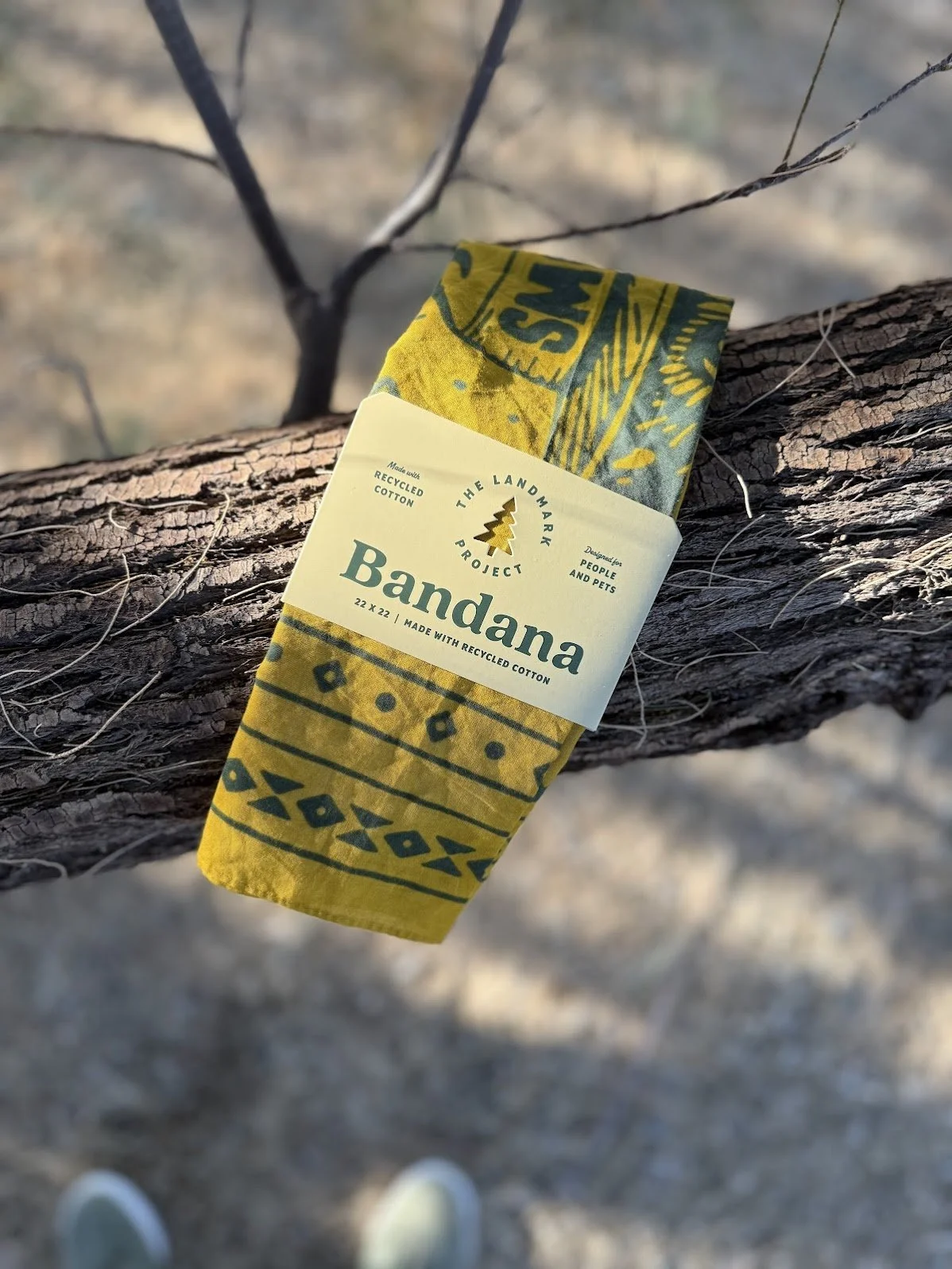 Smokey Bear Bandana - 7.jpg