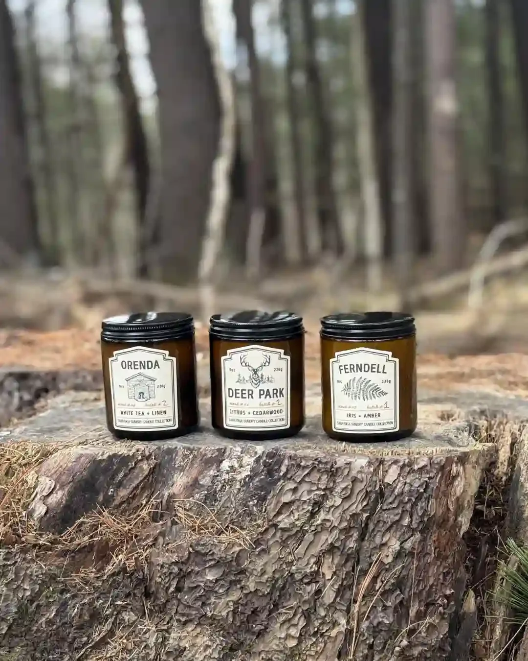 Trio of three candles from the Saratoga Sundry candle collection sitting on a tree stump.webp