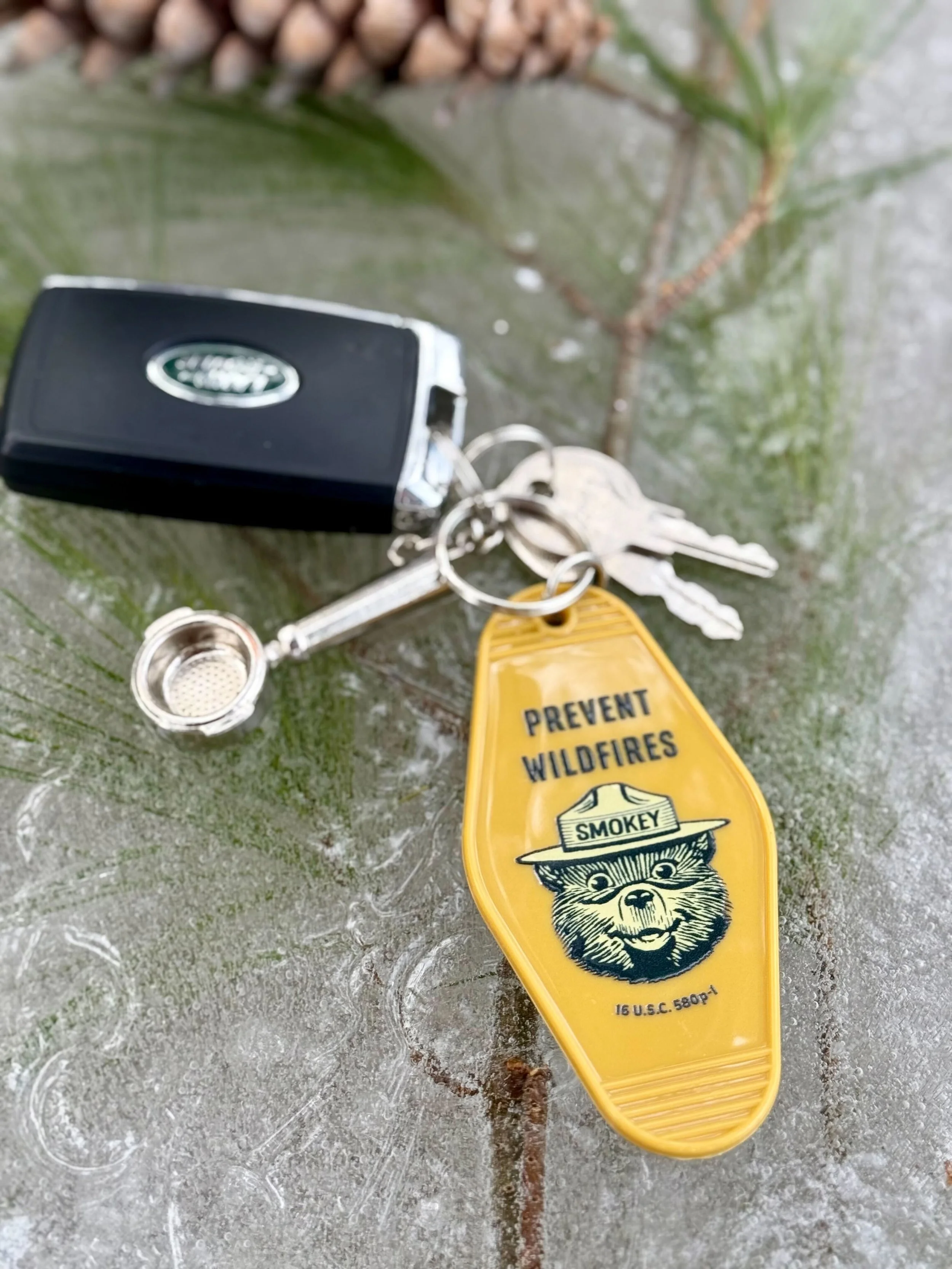 Smokey Bear Keychain 5.jpg