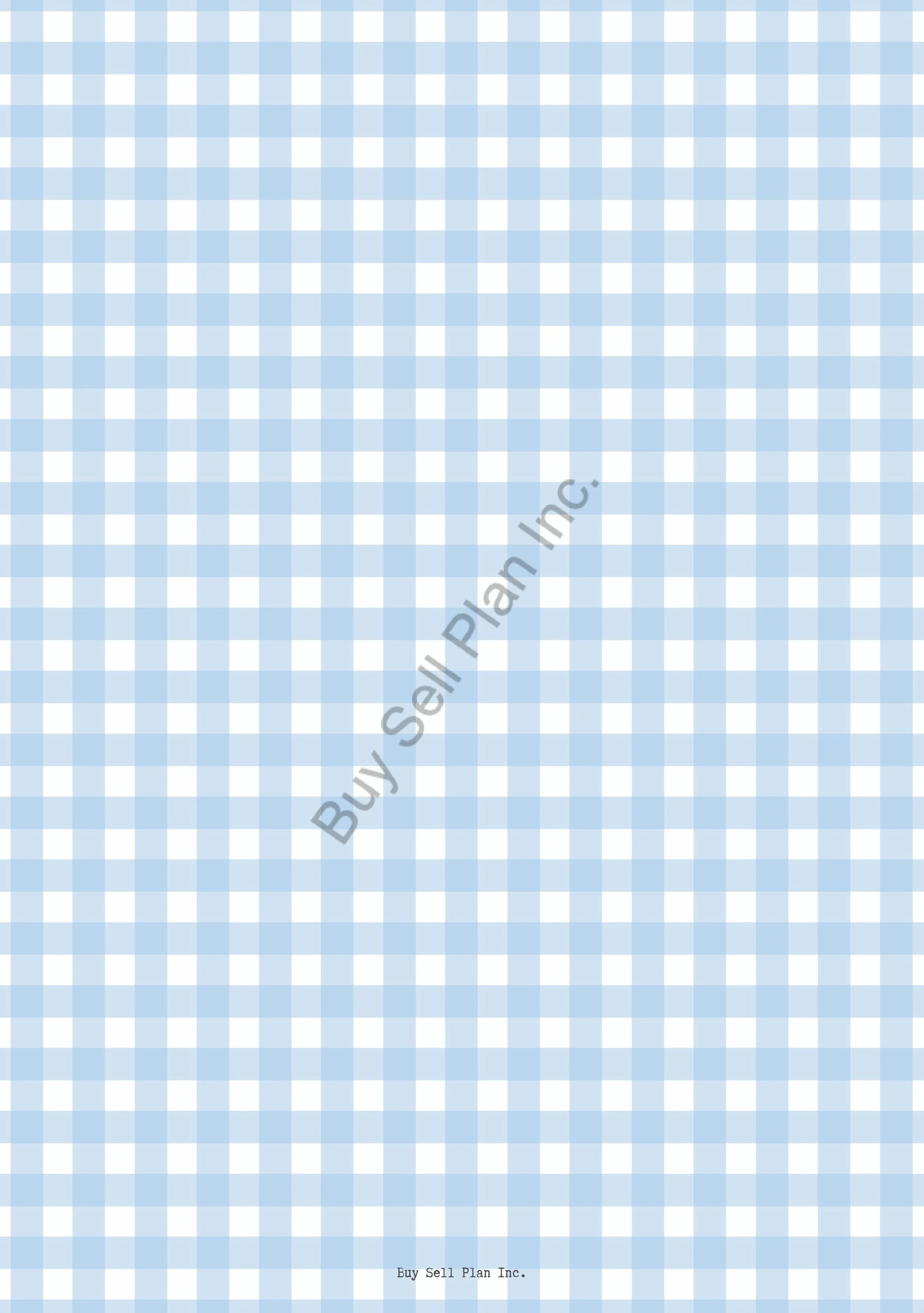 Blue Gingham-2.jpg (Copy)