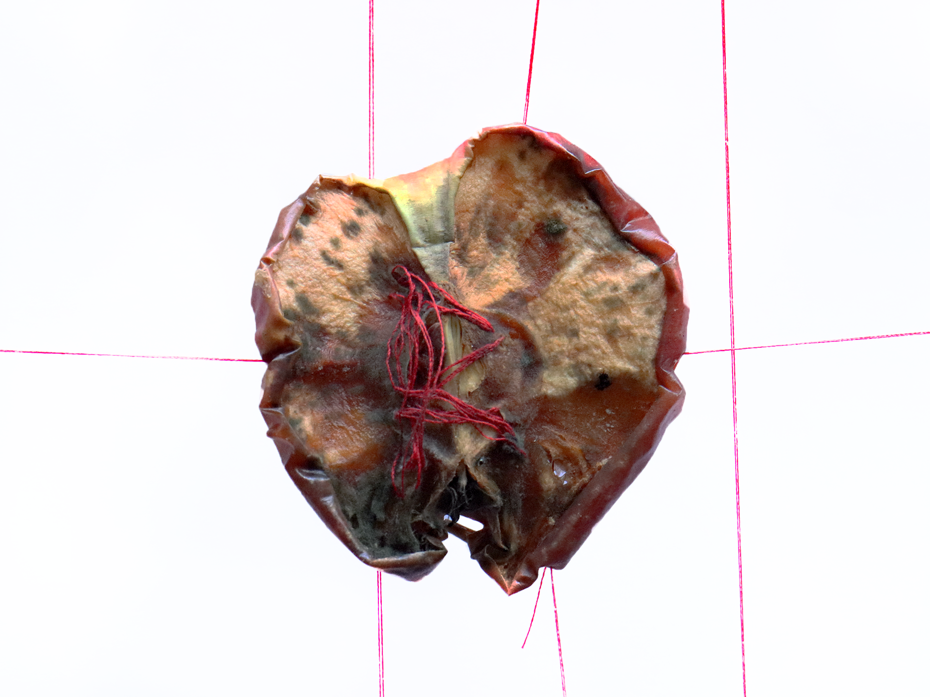 R.png