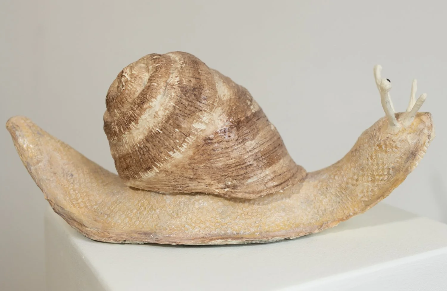 Schnecke aus Papierkunst-17.jpg