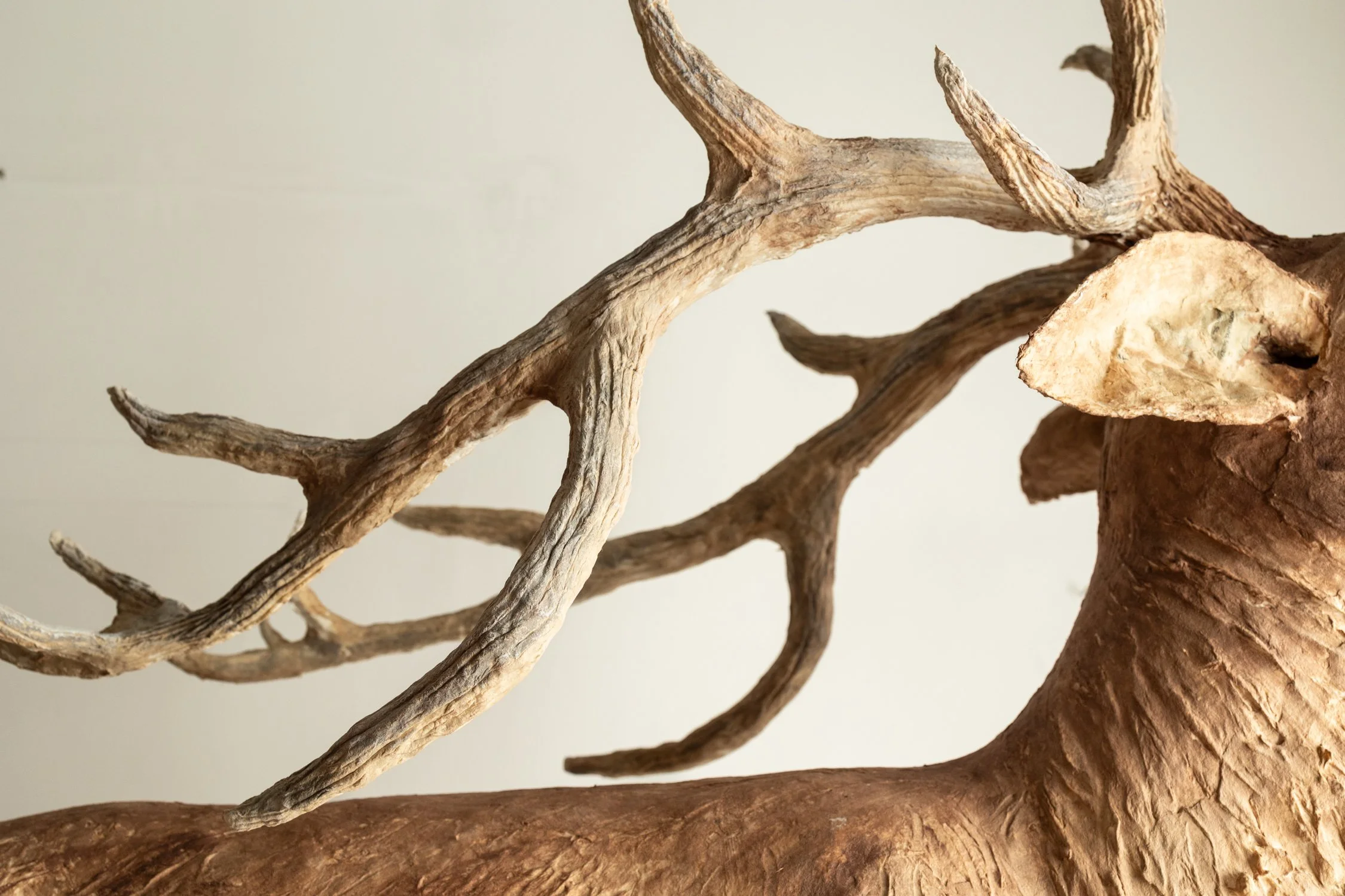 Geweih aus Pappmache Kunst.jpg