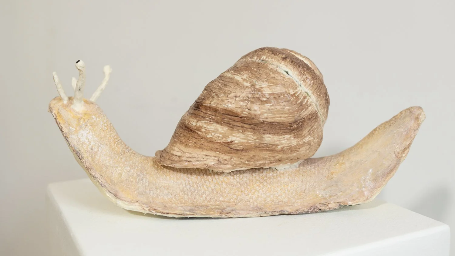Schnecke - Preis auf Anfrage