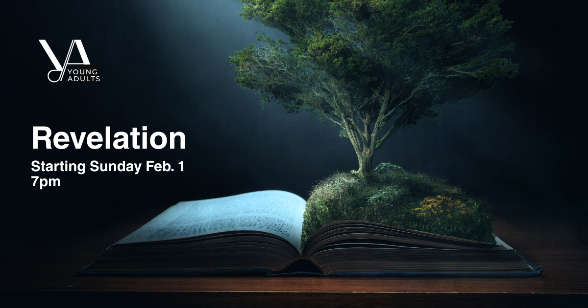 Revelation YA Bible Study 