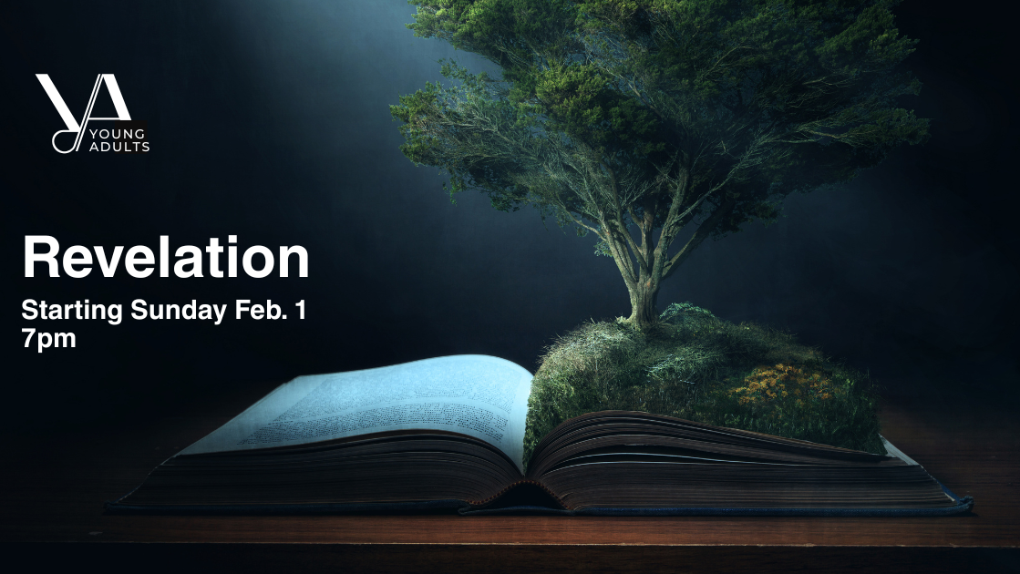 Revelation YA Bible Study 