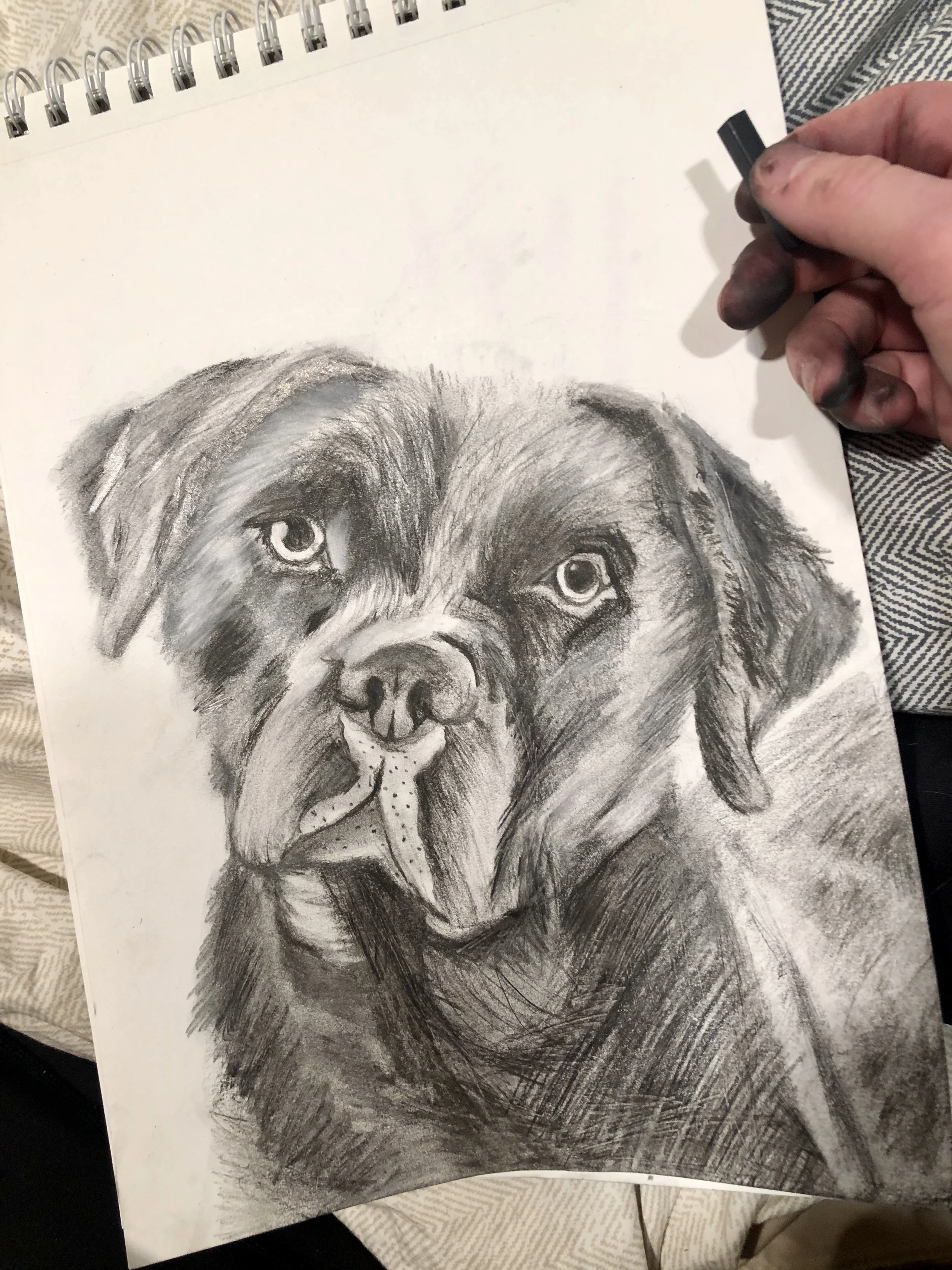 Charcoal_Dog1.jpg
