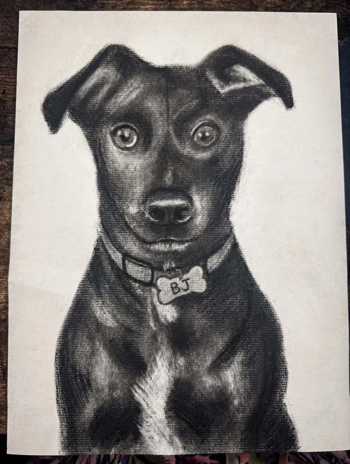 Charcoal_Dog2.jpg