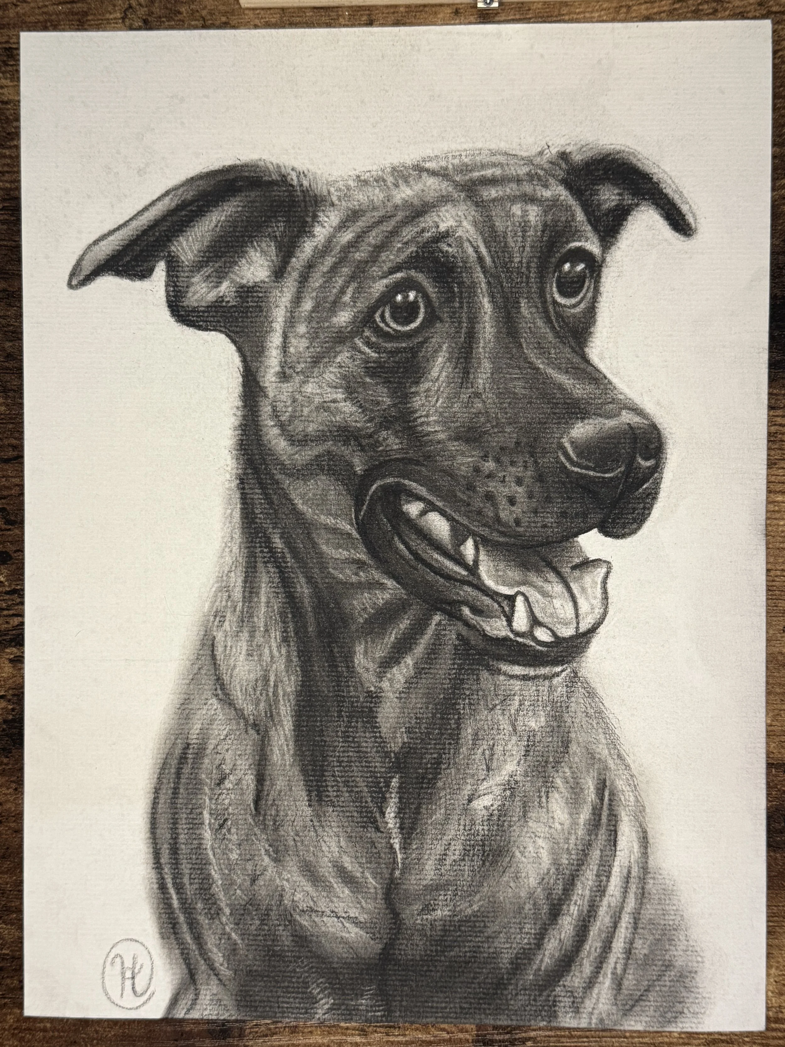 Charcoal_Dog4.JPG