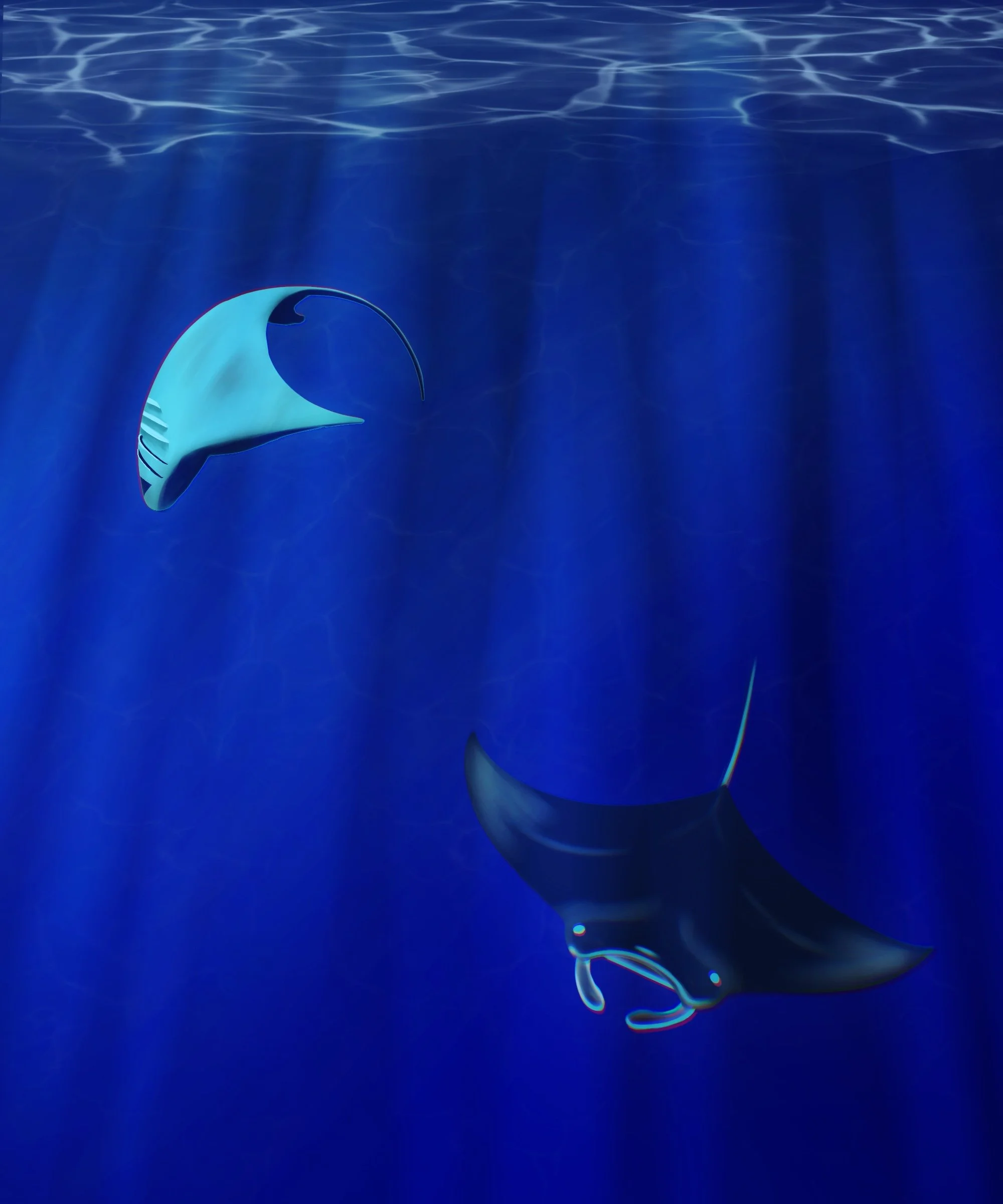 Manta_Ray_Swim.JPG