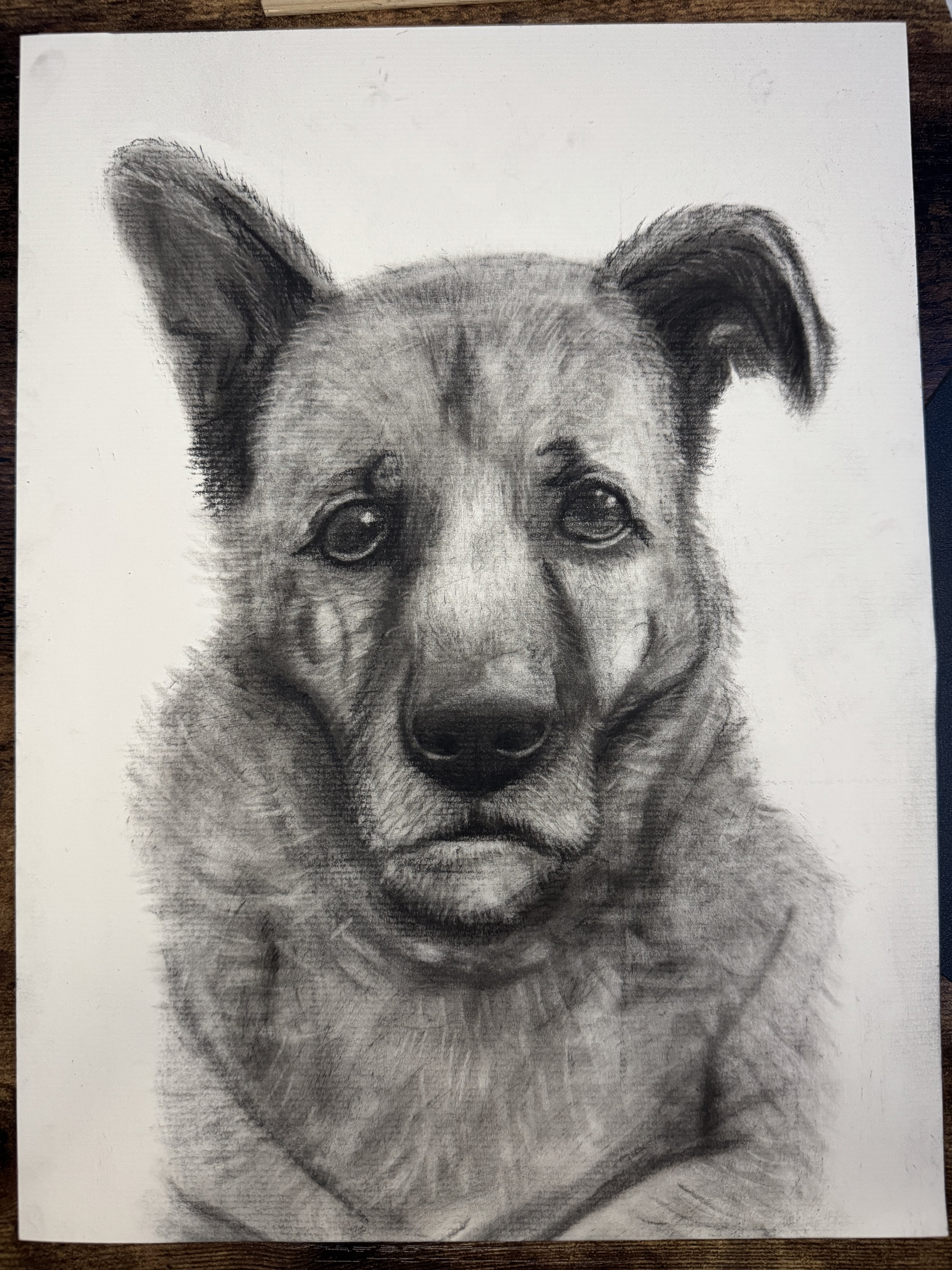 Charcoal_Dog3.JPG