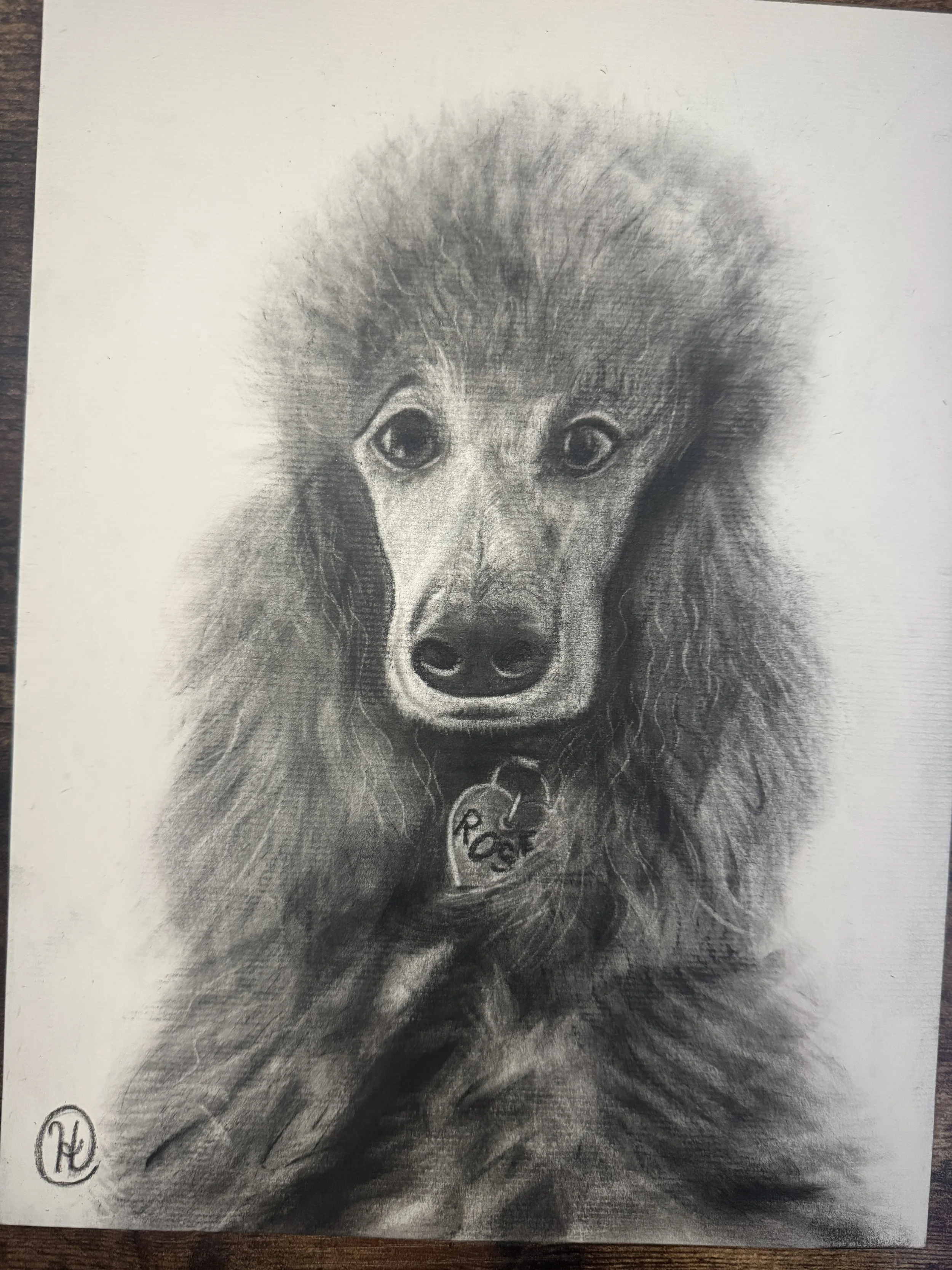 Charcoal_Dog5.JPG