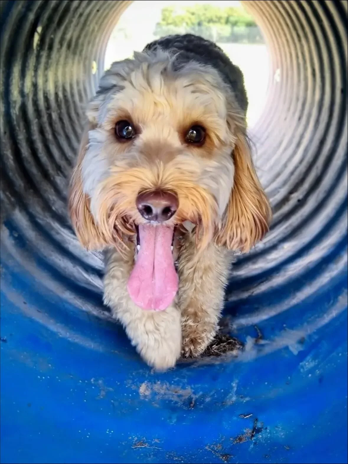 Great photos Vicky F 😎