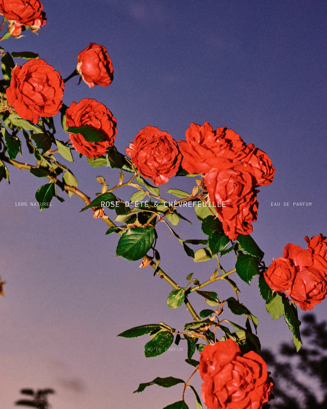 Présentation du parfum été de l'identité visuelle de FLORAE réalisé par le studio de design lapousse.