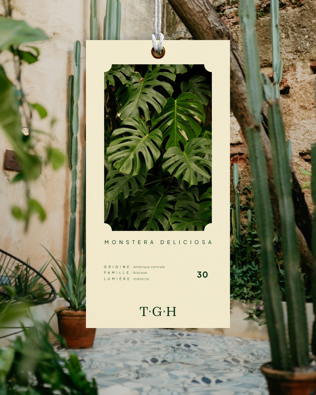 Mockup d'une étiquette produit avec les détails d'une plante de l'identité visuelle de THE GREENHOUSE réalisé par le studio de création lapousse.