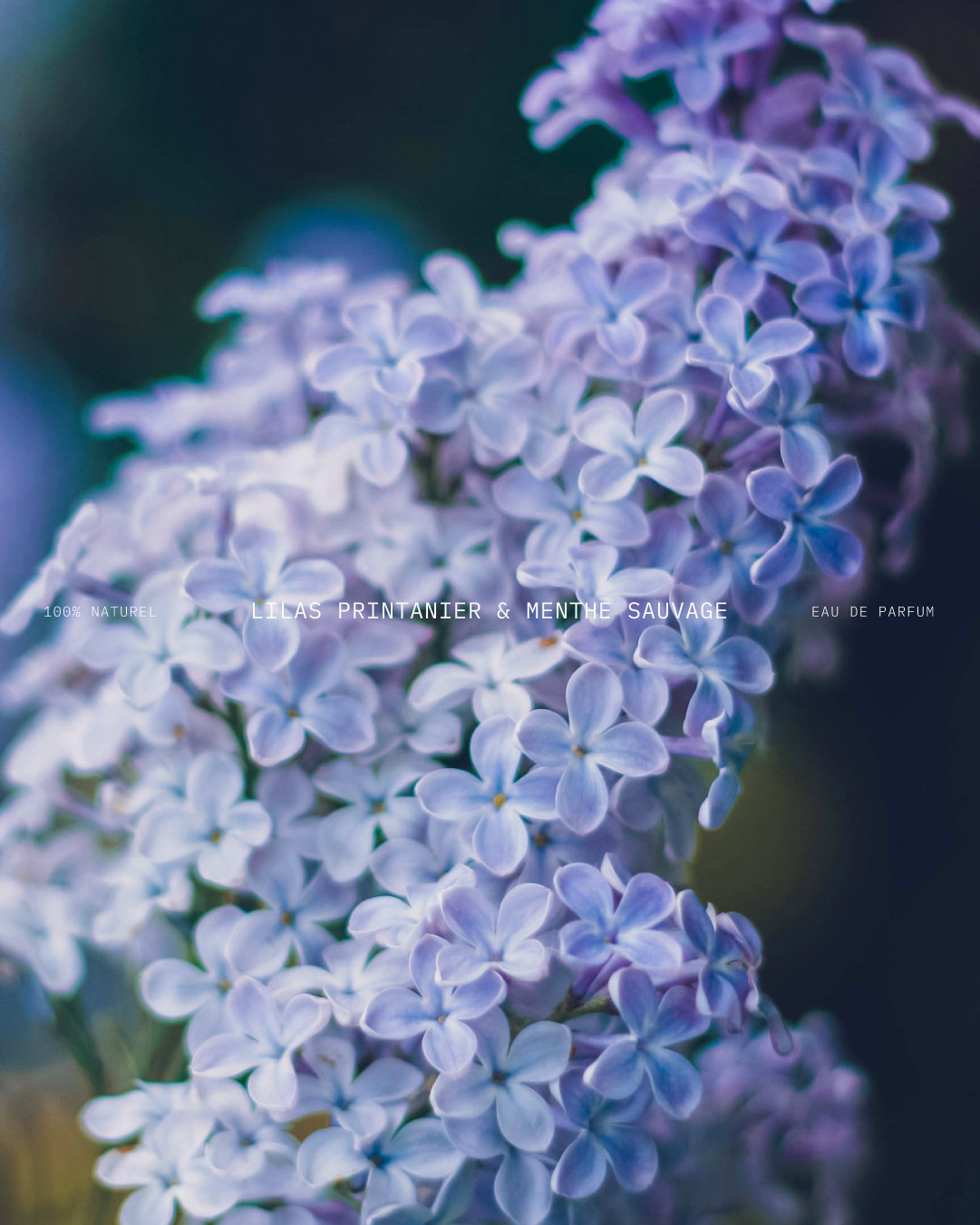 Présentation du parfum printemps de l'identité visuelle de FLORAE réalisé par le studio de création lapousse.