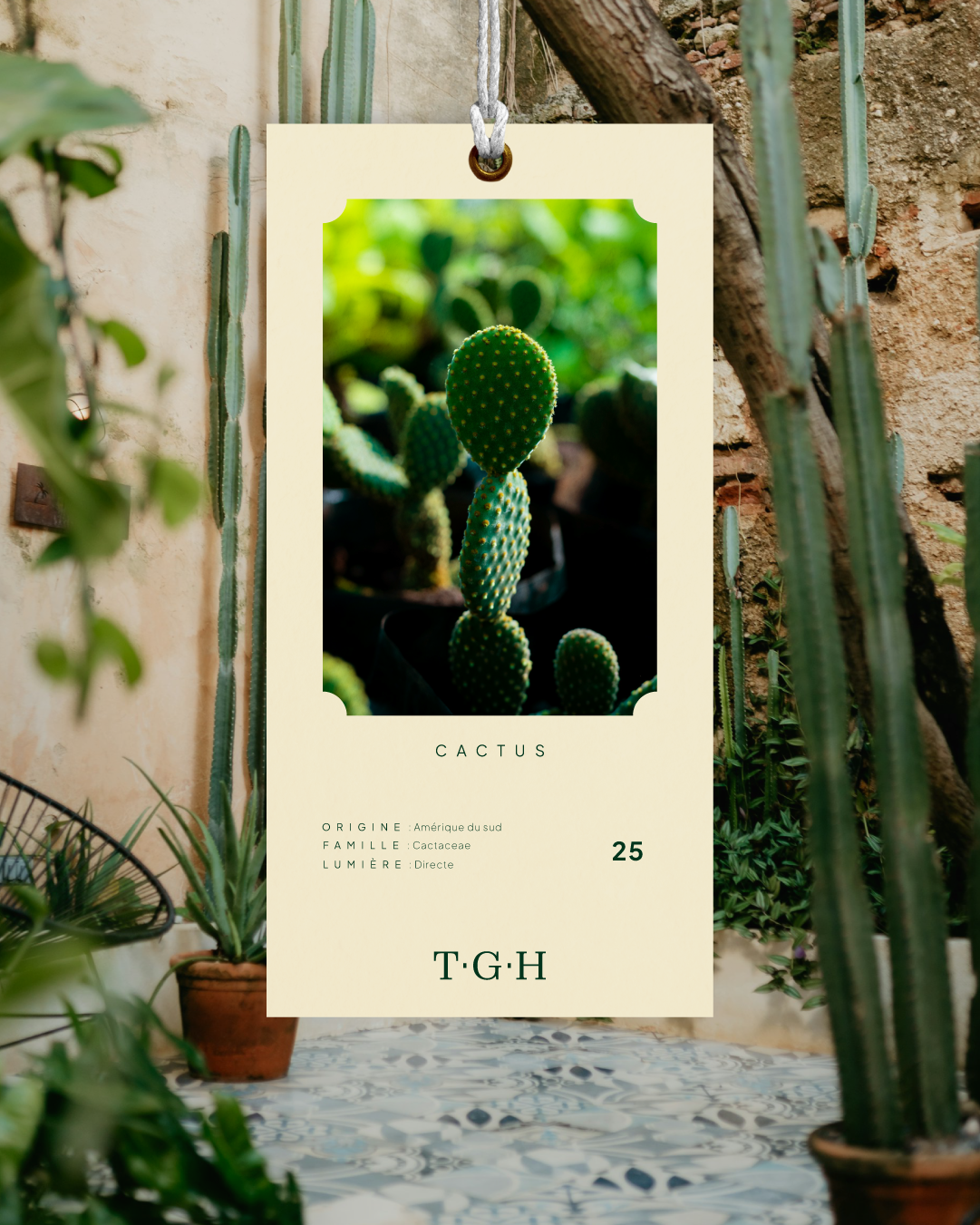 Étiquette produit avec les détails des plantes et pots de l'identité visuelle de THE GREENHOUSE réalisé par le studio lapousse.