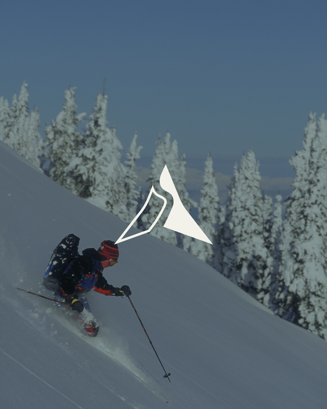 Sublogo identitaire  de la marque de l'identité visuelle de NORTHSHIFT réalisé par le studio lapousse.