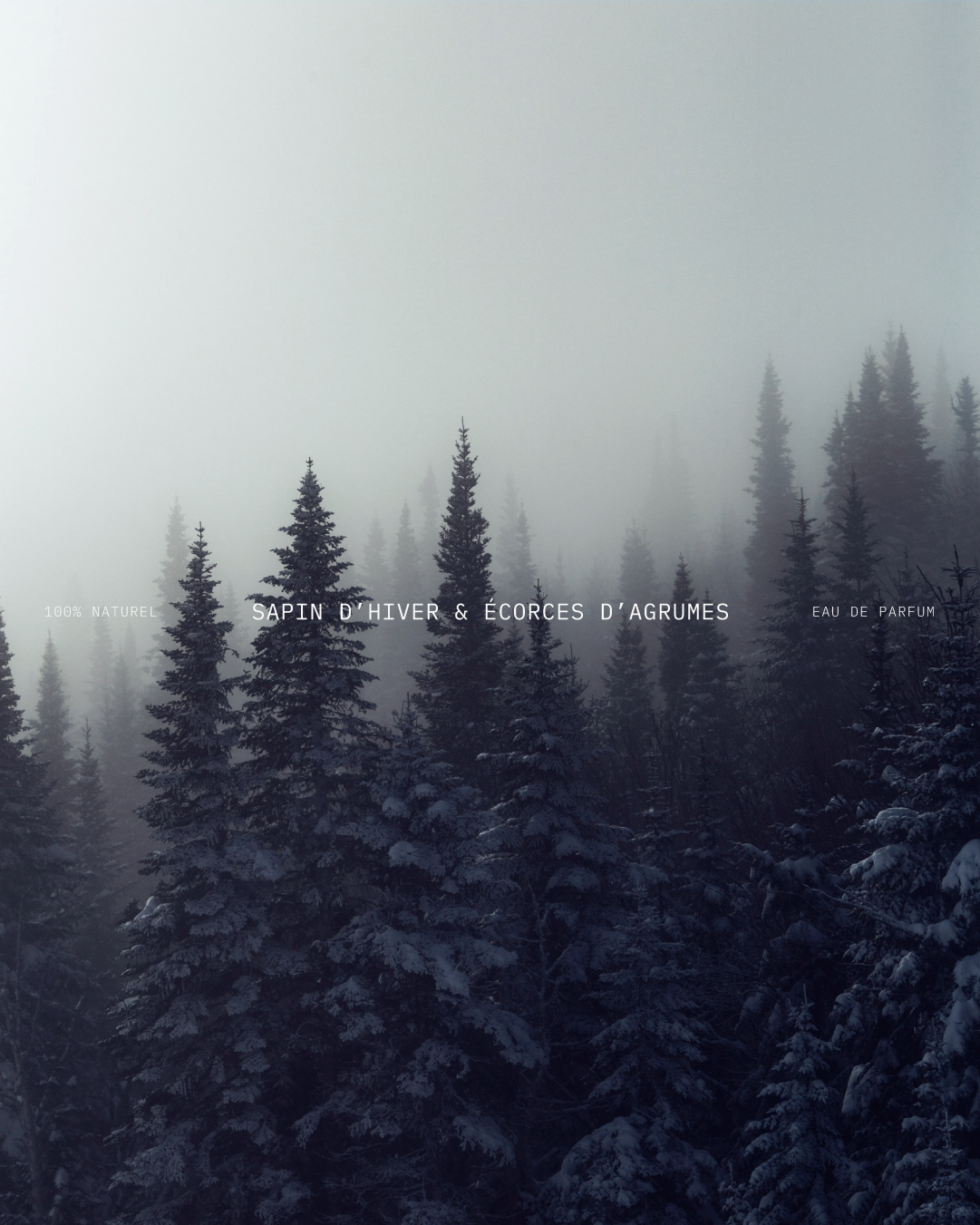 Présentation du parfum hiver de l'identité visuelle de FLORAE réalisé par le studio indépendant lapousse.