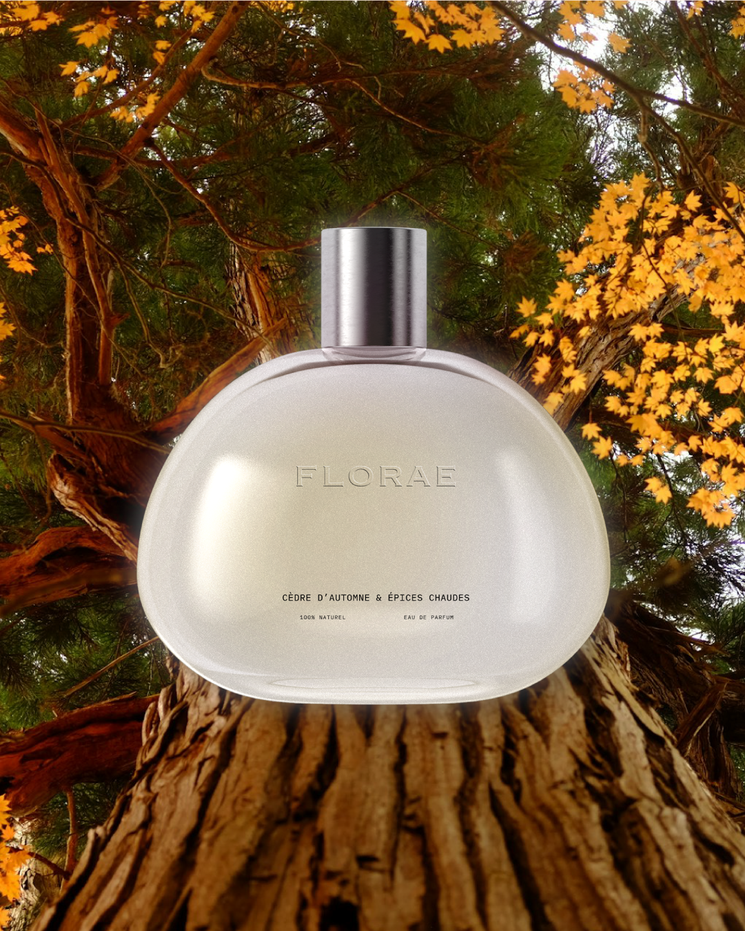 Bouteille de parfum sélection automne de l'identité visuelle de FLORAE réalisé par le studio indépendant lapousse.