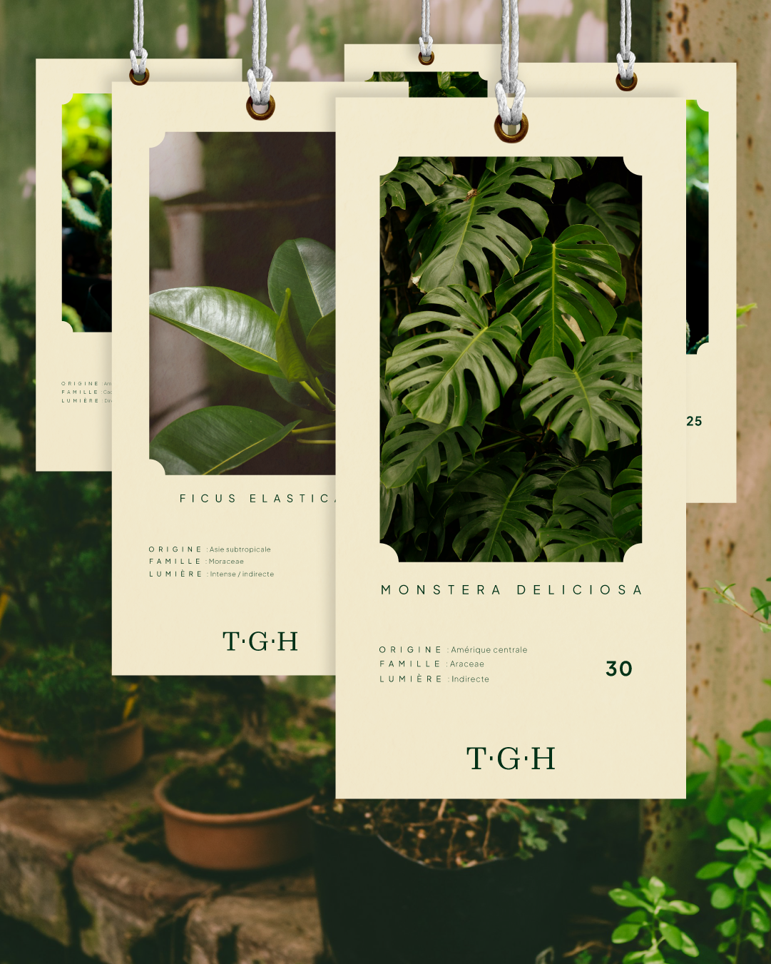 Plusieurs étiquettes produits présentant les plantes de l'identité visuelle de THE GREENHOUSE réalisé par le studio indépendant lapousse.