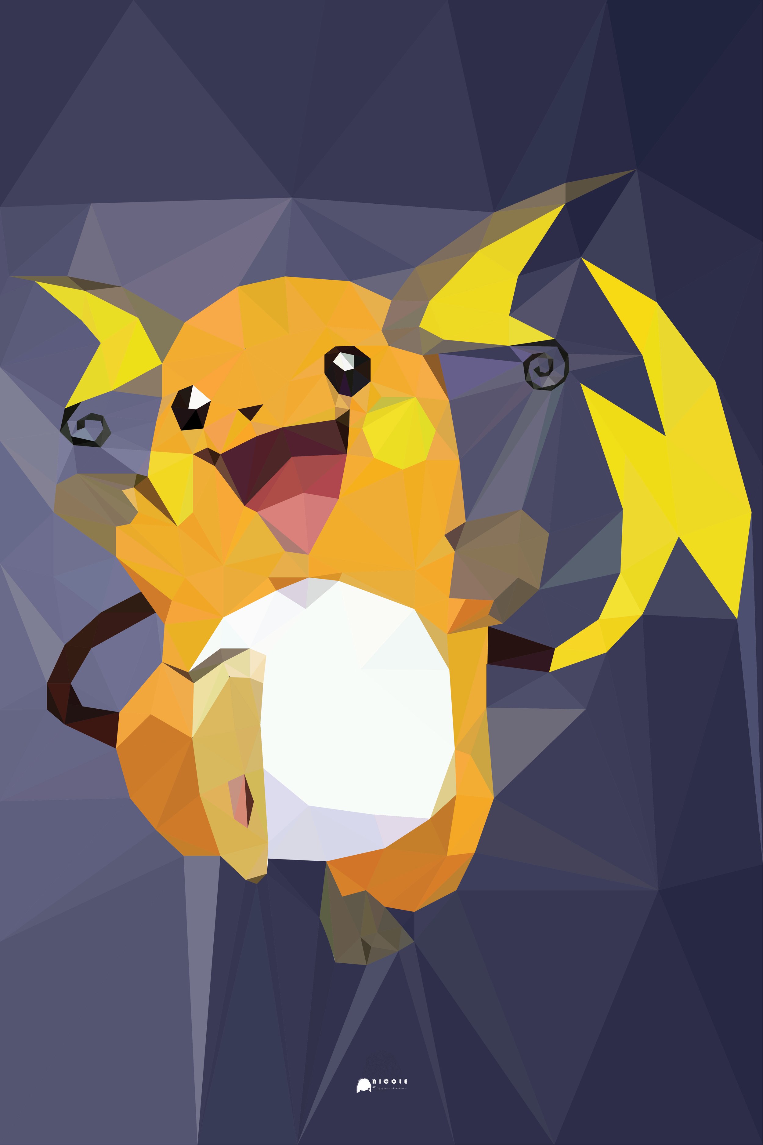 Raichu | Pokemon Collection