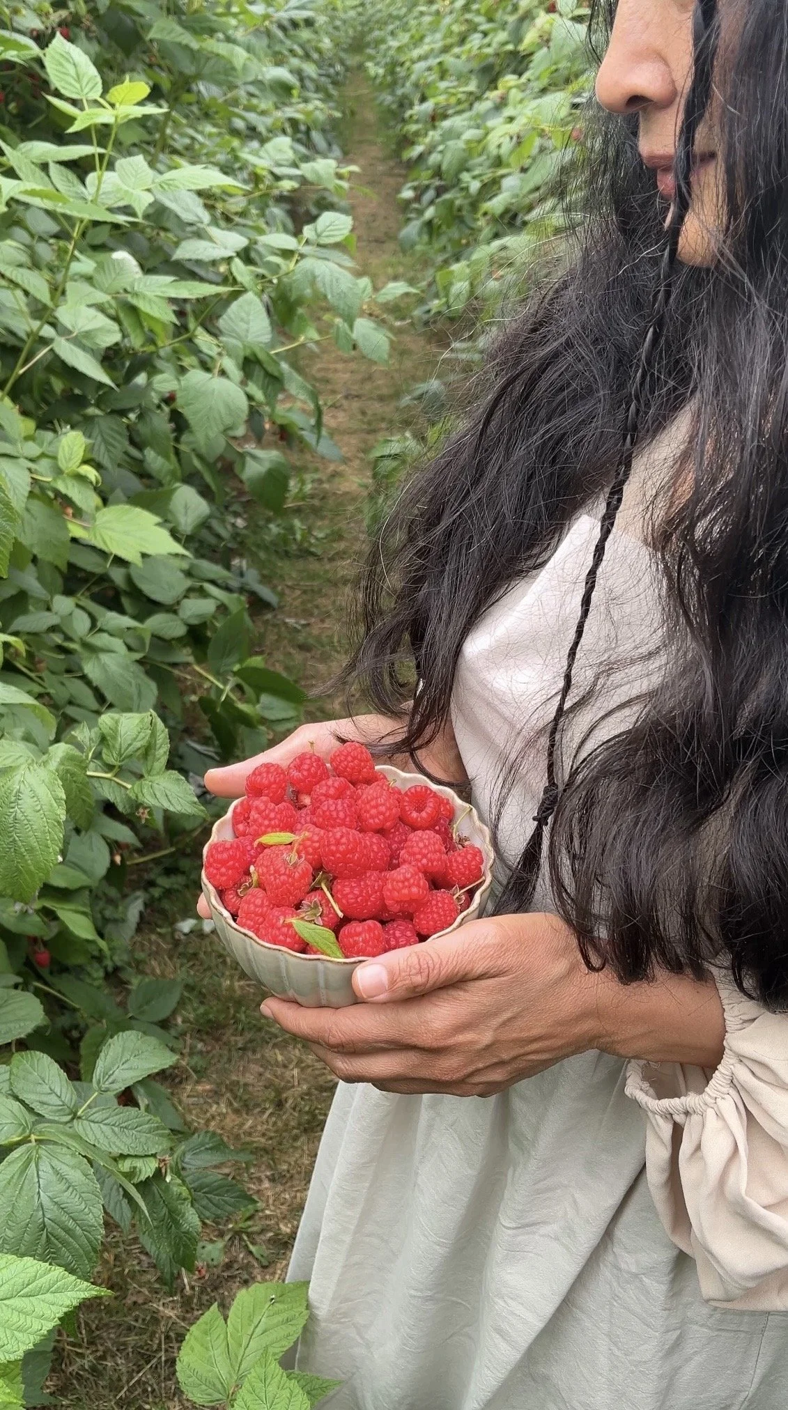 Berries