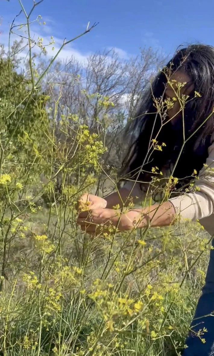 Wild Fennel Chai
