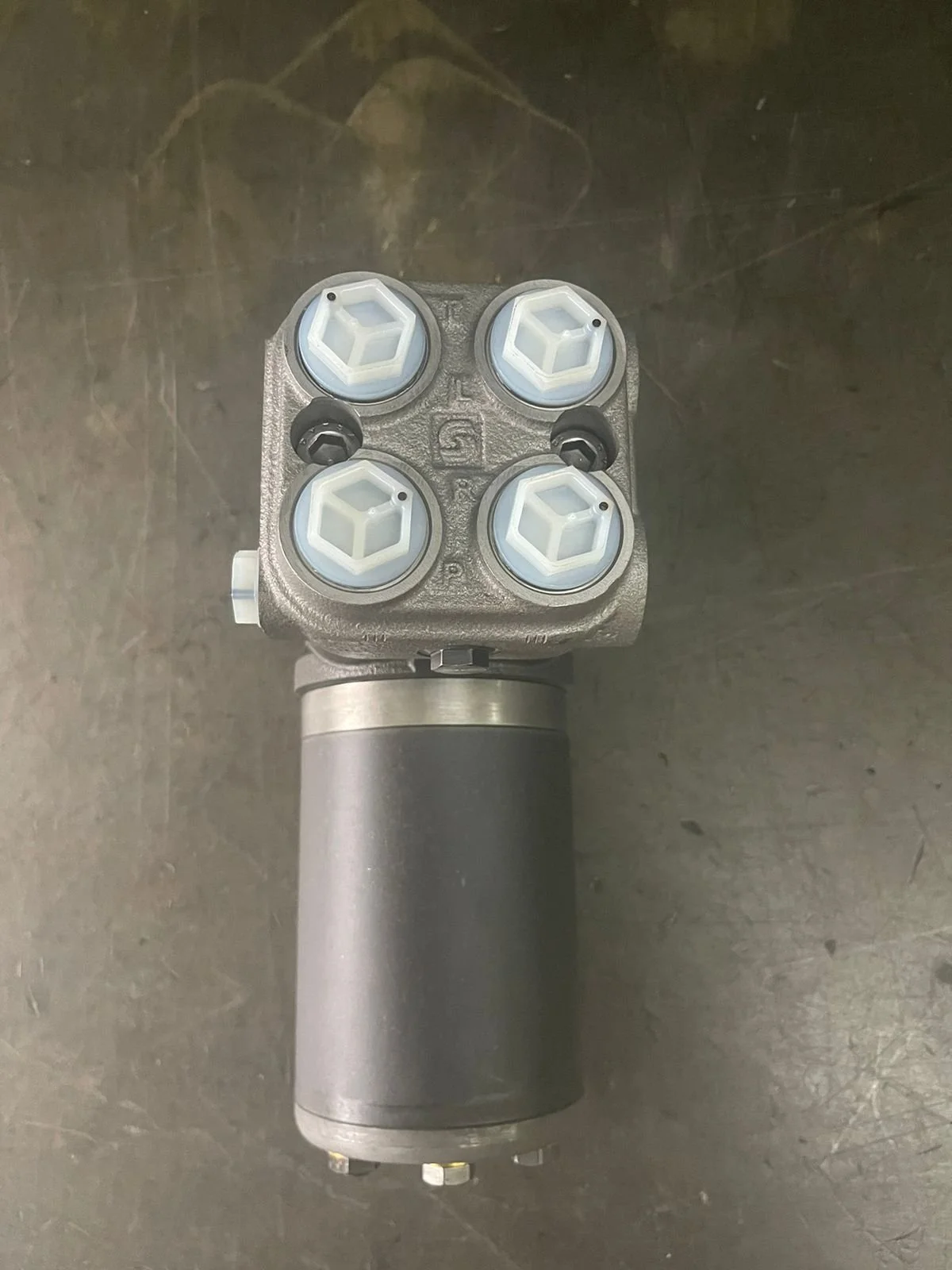 WhatsApp Image 2024-09-21 at 09.49.27.jpeg